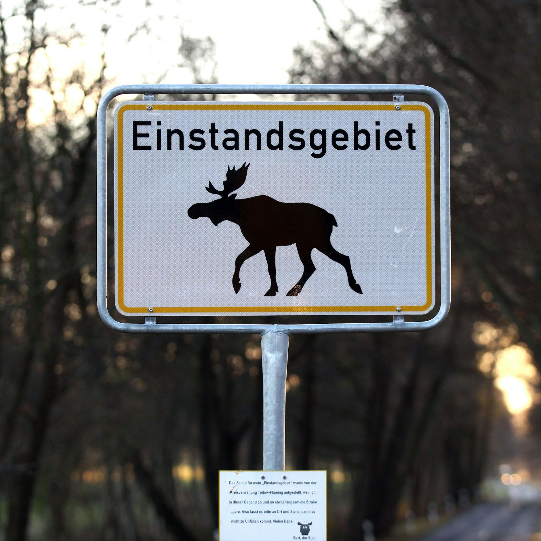Ein Schild im brandenburgischen Rieben warnt Autofahrer vor einem eingewanderten Elch.
