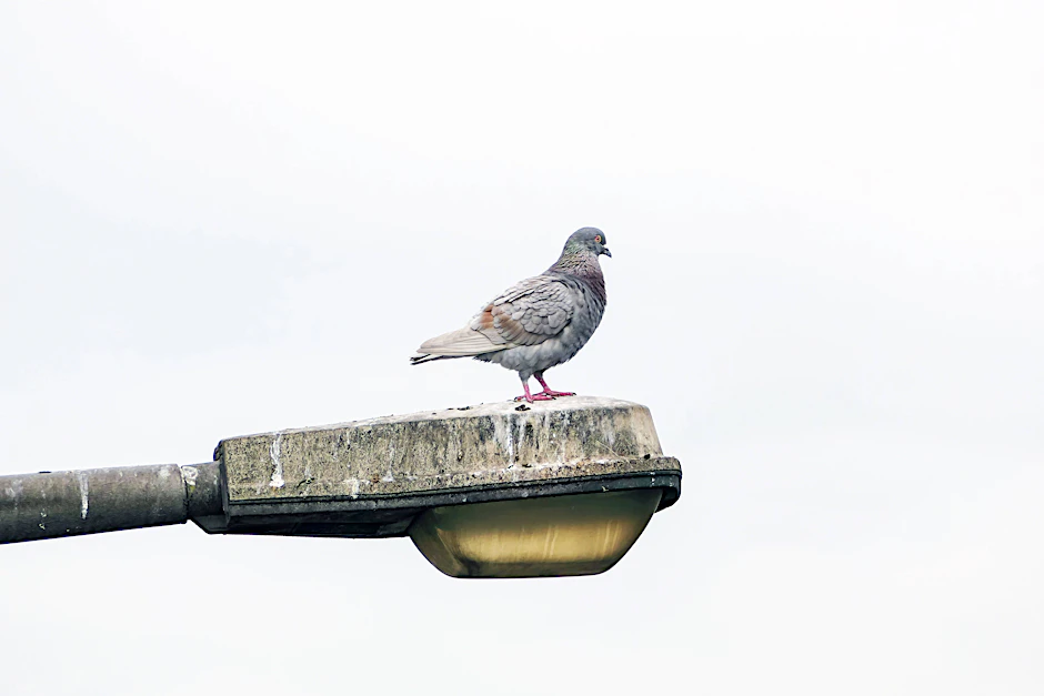 Schmutzige Stadt. Vogelperspektive