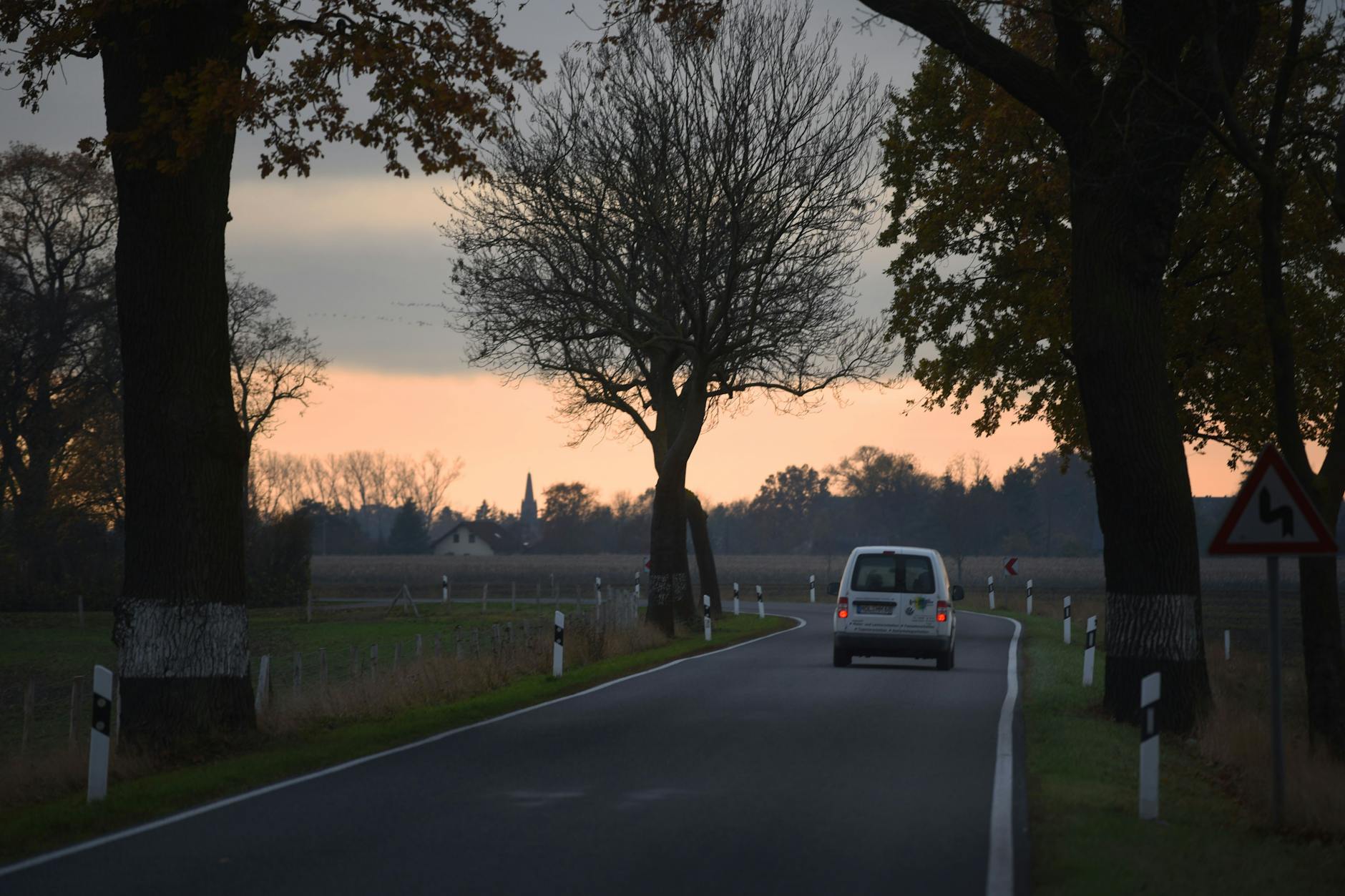 Eine Allee in Brandenburg. (Symbolbild) 