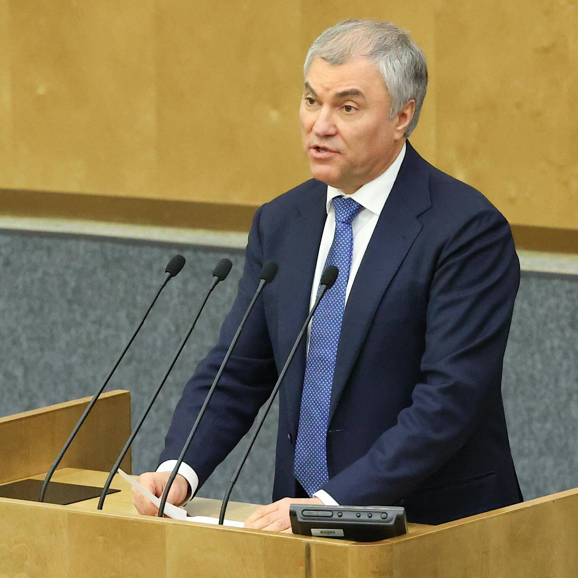 „Lumpen“: Duma-Chef will Russland-Kritiker im Ausland enteignen