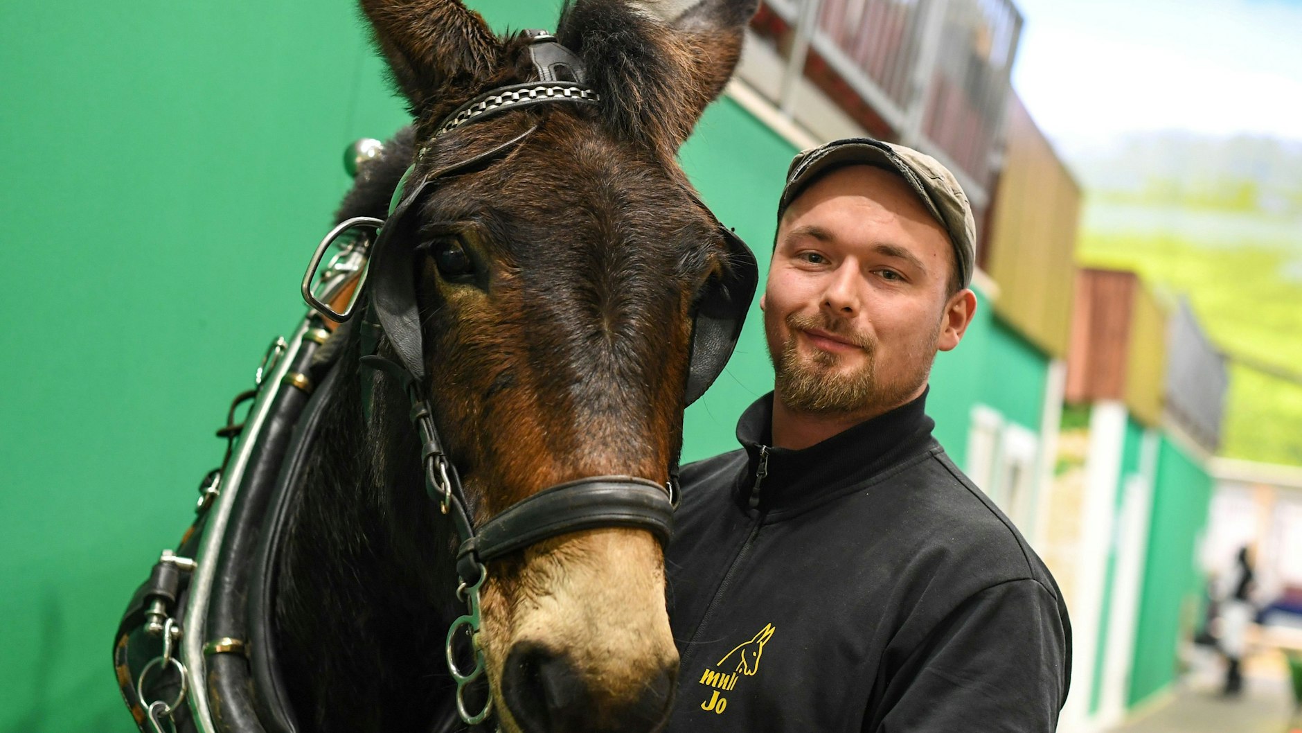 Zum Wiehern: Vom 27. bis 29. Januar 2023 lädt die Grüne Woche zur „Hippologica“ ein.