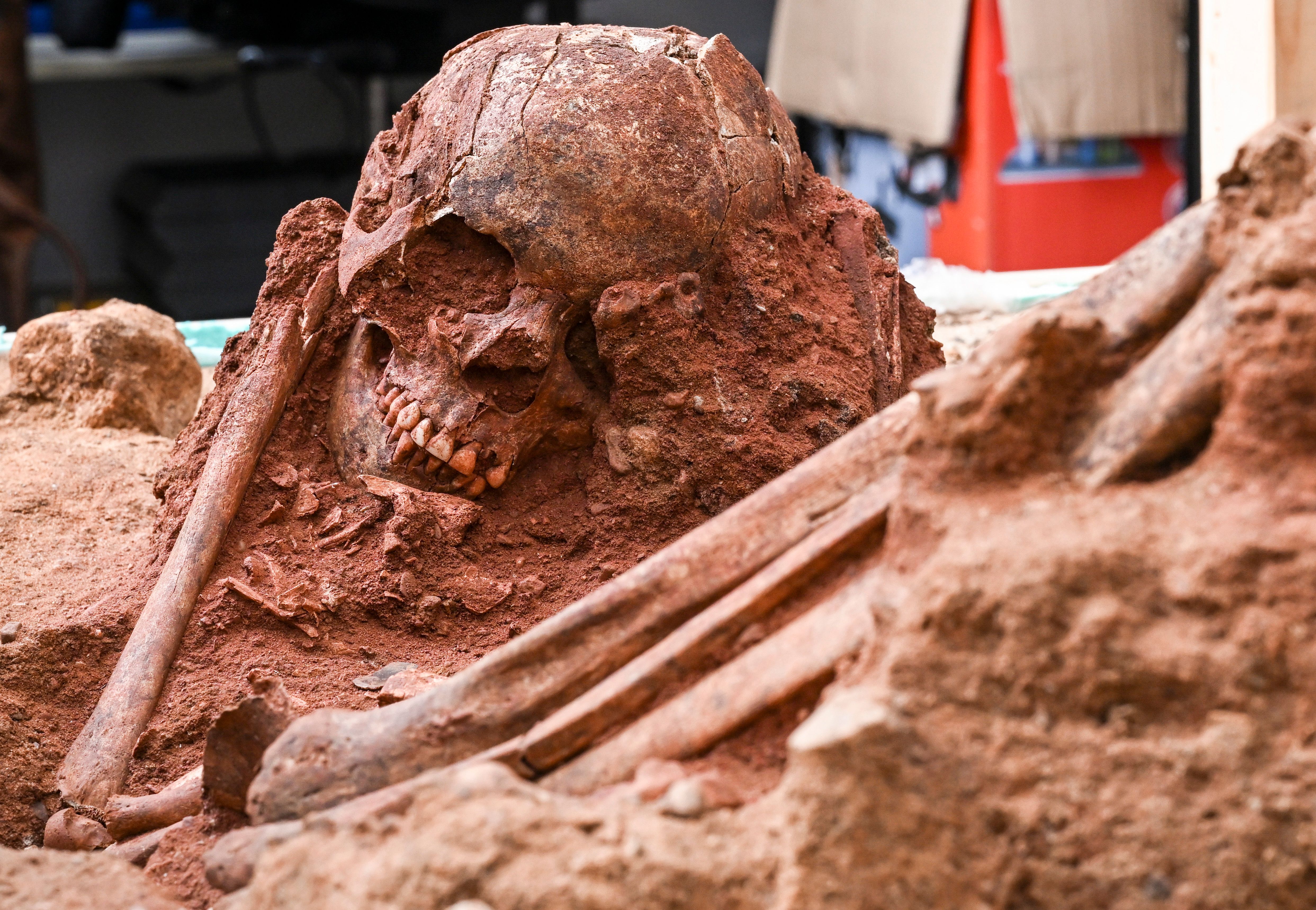 1,50 Meter klein, Anfang 20: Wer war diese junge Frau? Wie Wissenschaftler versuchen, dieses Skelett zum Reden zu bringen