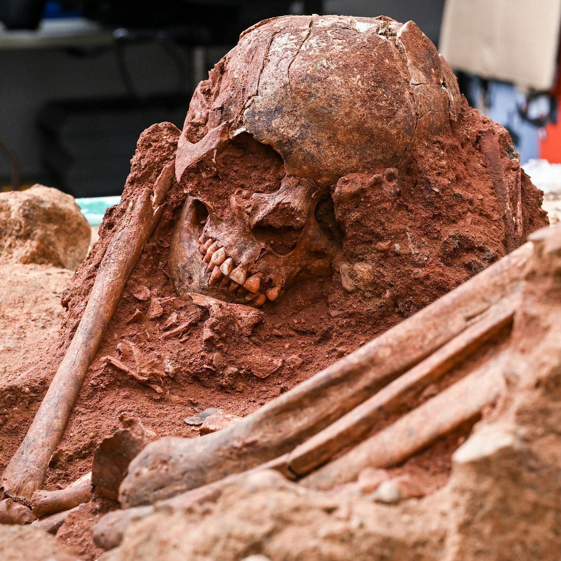 1,50 Meter klein, Anfang 20: Wer war diese junge Frau? Wie Wissenschaftler versuchen, dieses Skelett zum Reden zu bringen