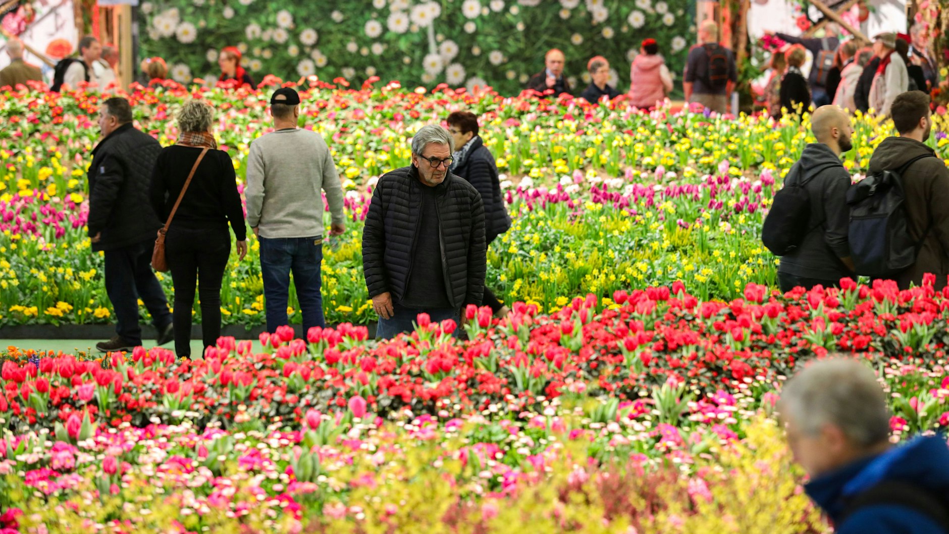 Die Blumenhalle bringt Berlin schon im Januar zum Blühen.