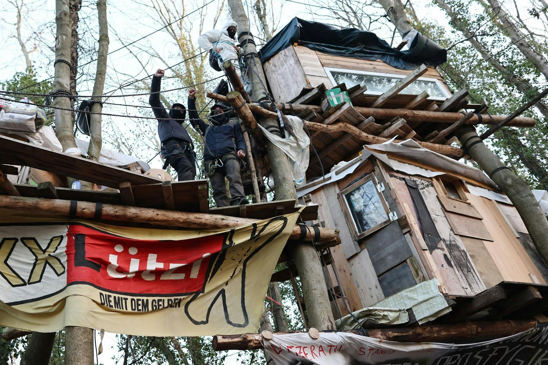Aktivisten im Baumhaus: Wie viele Bäume mussten für diese Häuser sterben?