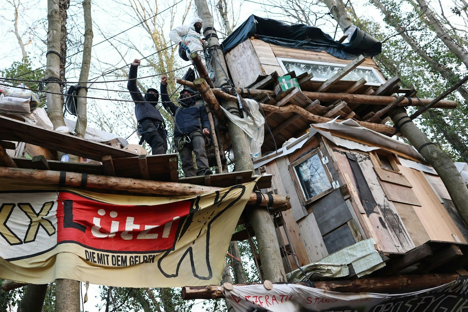 Aktivisten im Baumhaus: Wie viele Bäume mussten für diese Häuser sterben?
