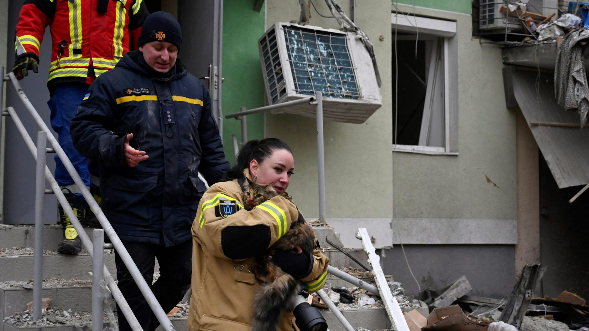 Helfer retten eine kleine Katze aus dem Schutt. Ob ihre Besitzer noch leben, ist unklar.