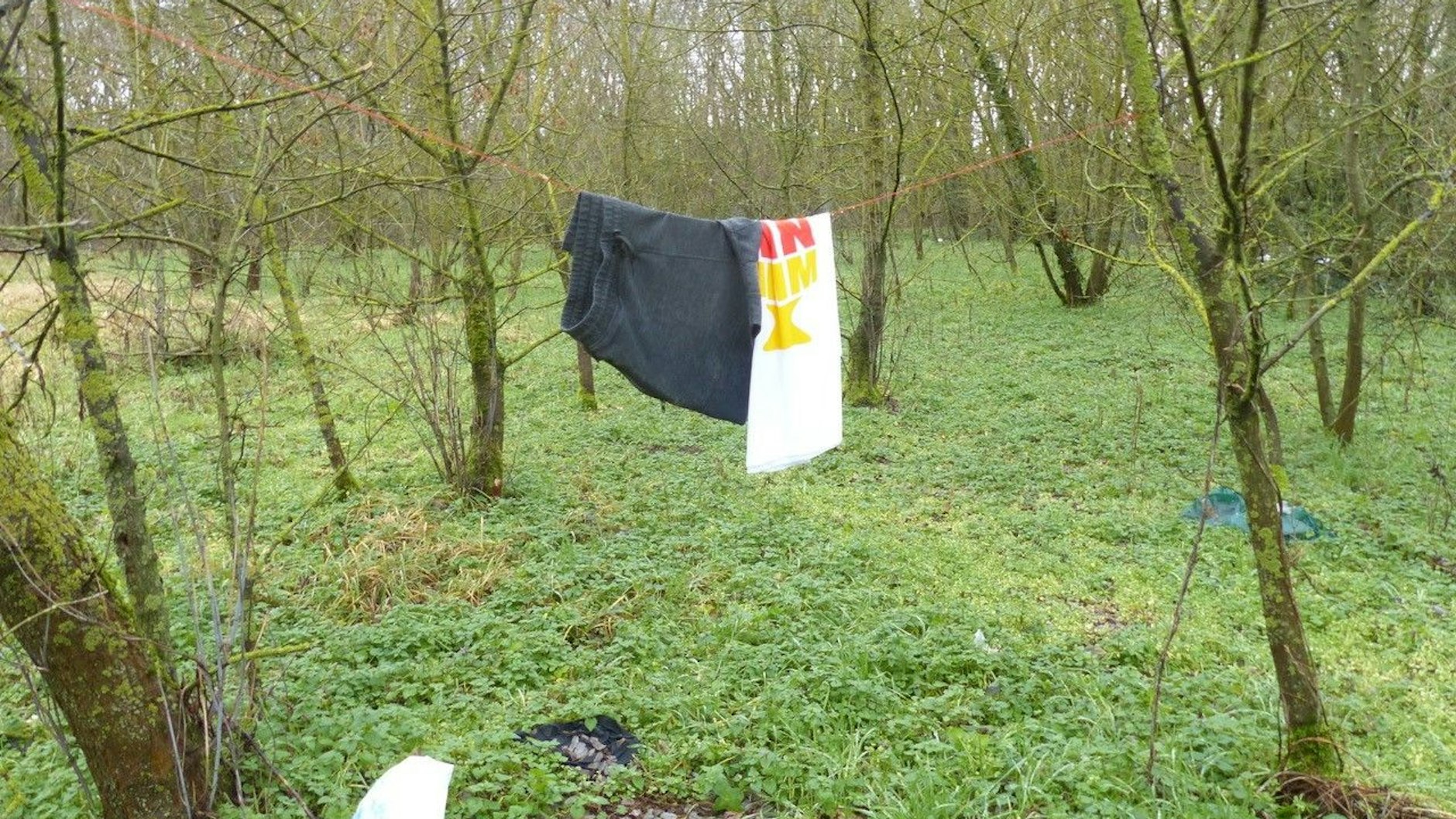 Eine kurze Hose und ein T-Shirt hängen auf einer zwischen Bäumchen gespannten Leine.