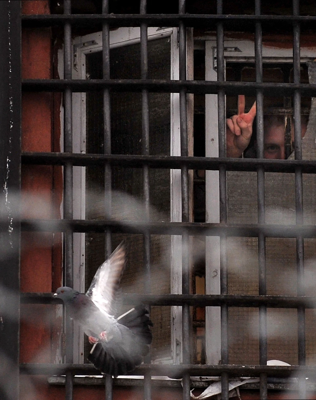 Freiheit im Kopf: Maxim Znak schmuggelt 100 Geschichten aus dem Gefängnis