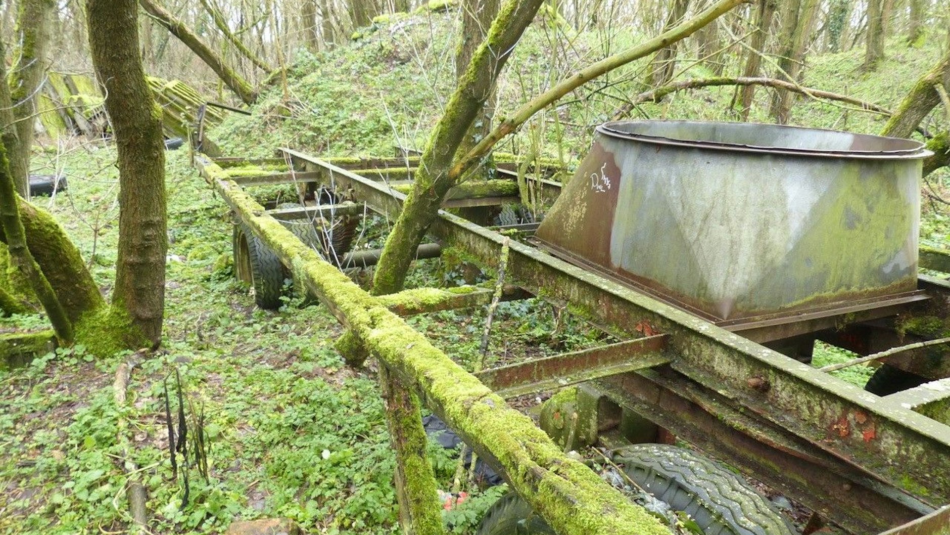 Ein bemooster Lkw-Anhänger, durch dessen Rahmen Bäume gewachsen sind. Dahinter ist ein Hügel aufgeschoben, türmen sich Betonteile.