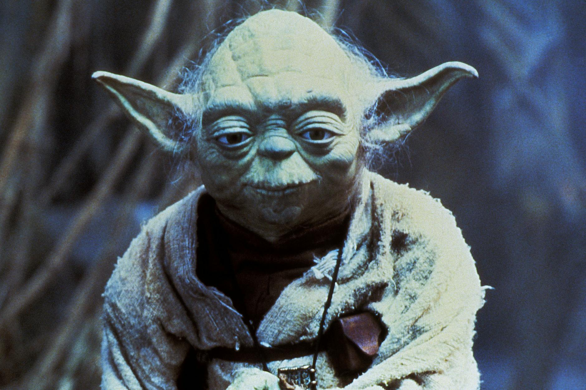 Meister Yoda aus dem Science-Fiction-Opus „Star Wars“ ist unserem Autor wie aus dem Gesicht geschnitten.