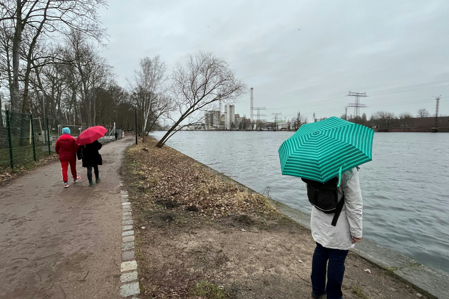 Für diesen Bereich sieht der Radverkehrsplan den Bau einer Spreebrücke für Fußgänger und Radfahrer vor. Sie soll den Damm- und den Blockdammweg verbinden. Eine Machbarkeitsuntersuchung oder Planungen gibt es nicht.