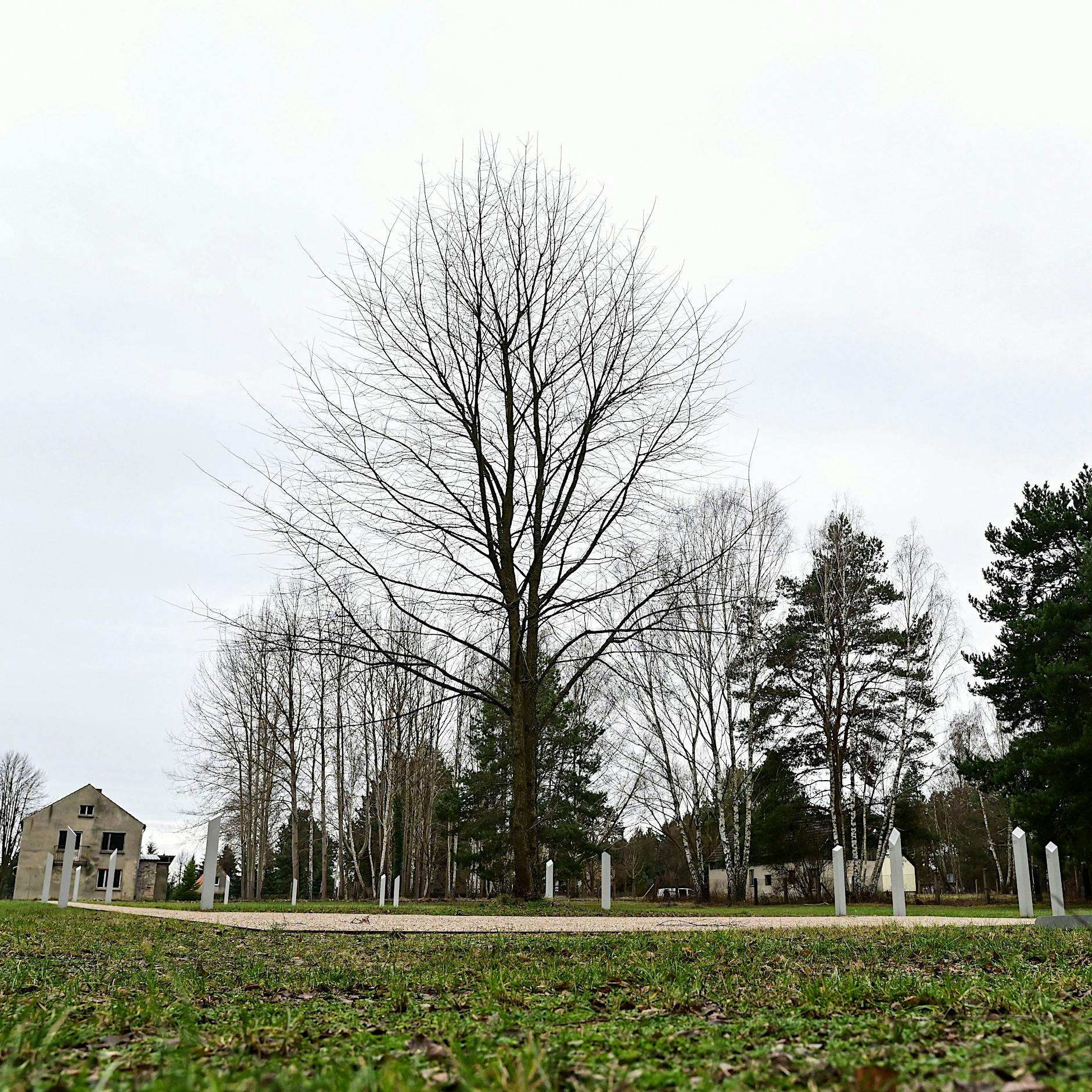 Berliner Zeitung am 23. Juni 1945: Augenzeugenbericht aus dem „Judenmörderlager“