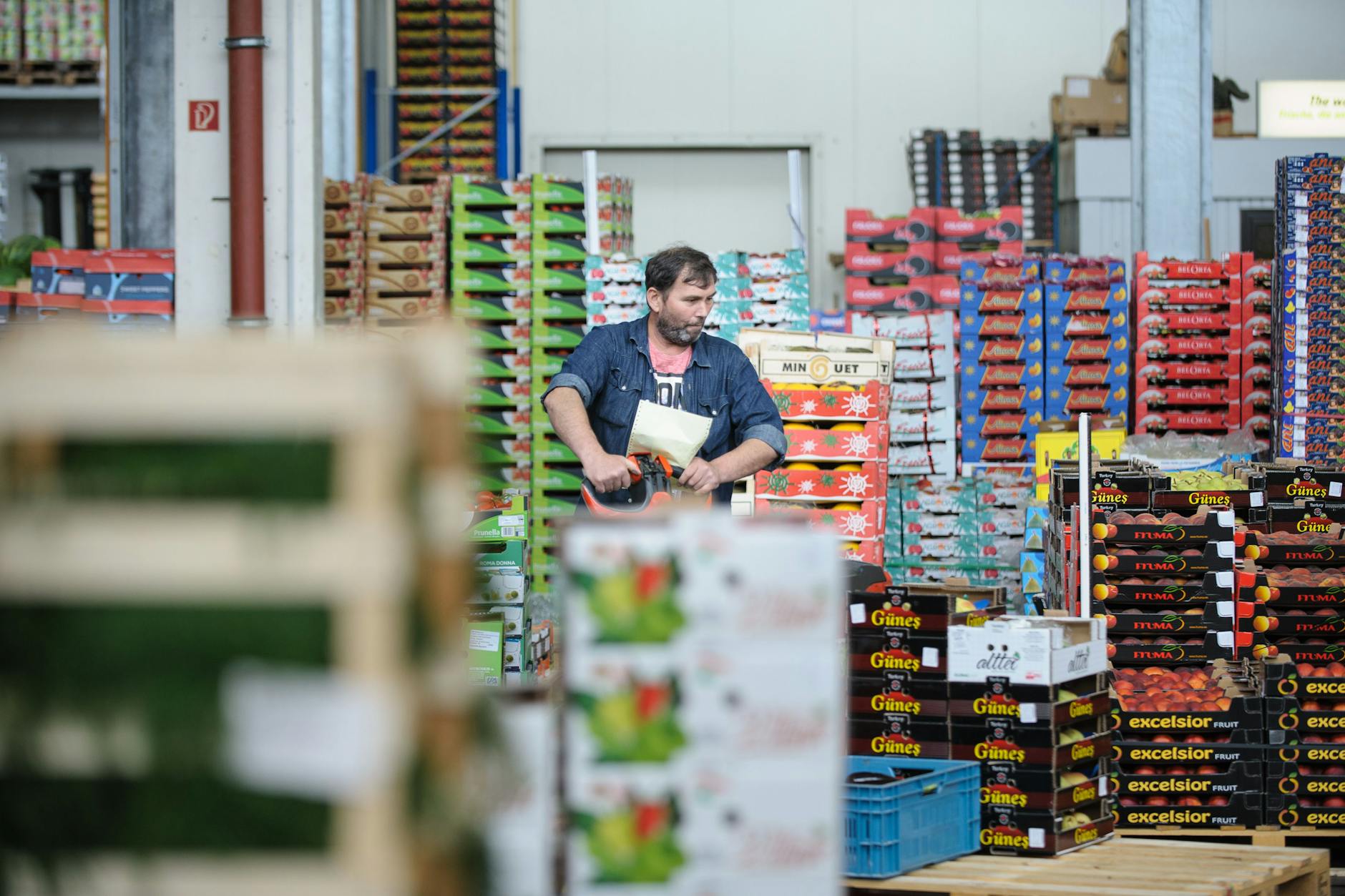 Hektische Betriebsamkeit herrscht im Fruchthof Berlin auf dem Berliner Großmarkt in der Beusselstraße.
