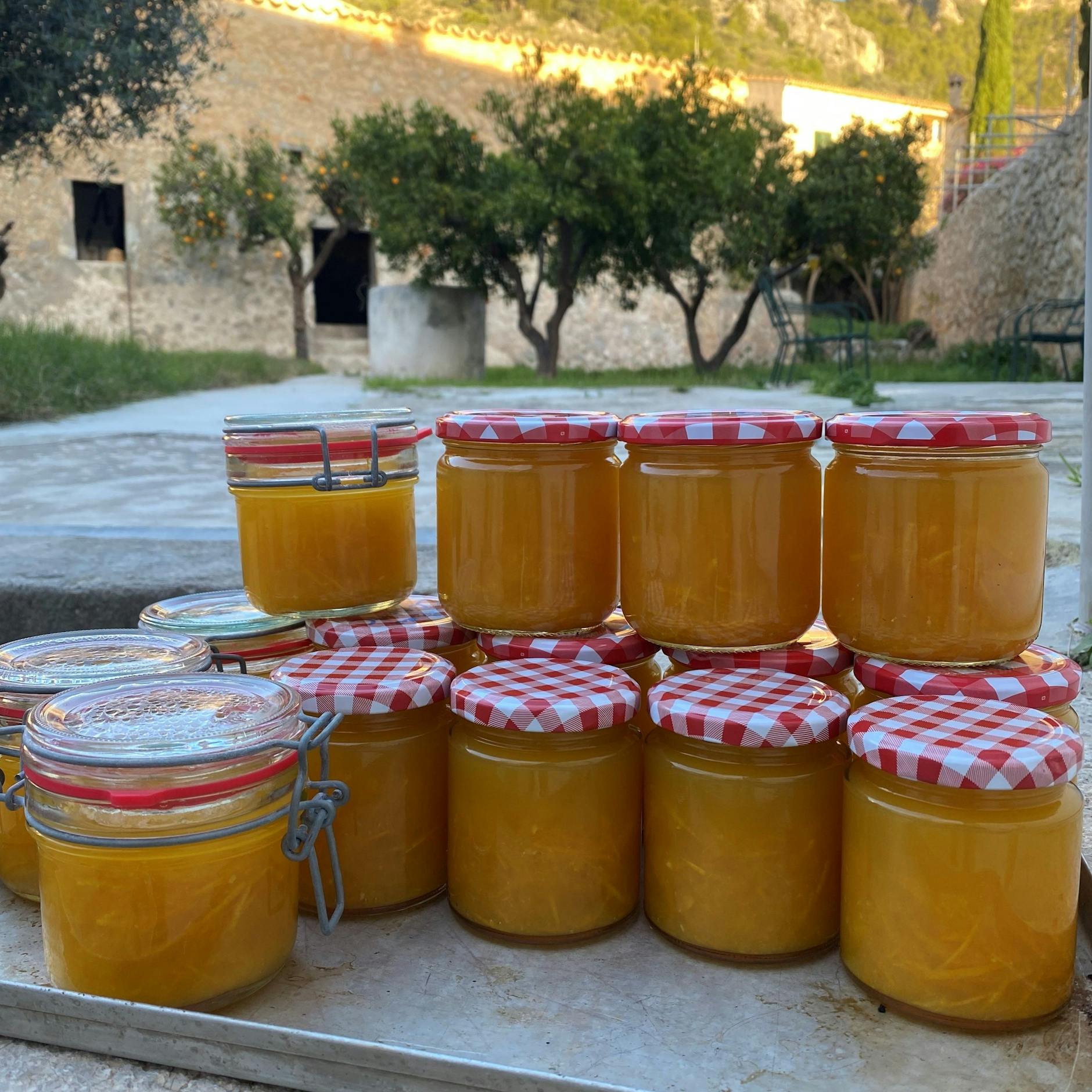Die Ausbeute von seinen Orangen: Vergangene Woche hat Felix Hanika Orangenmarmelade bei sich in Caimari, Mallorca, gemacht.
