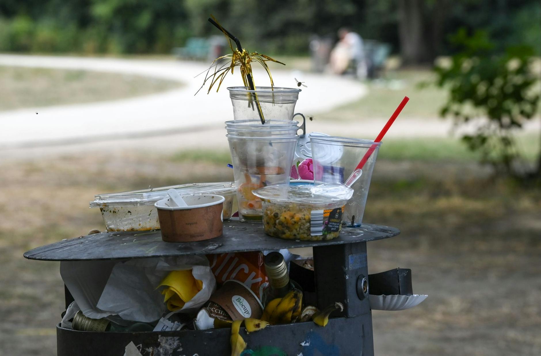 ARCHIV - Ein übervoller Mülleimer mit Partymüll im Treptower Park in Berlin. Viele Gaststätten bieten ihrer Kundschaft laut Greenpeace noch immer keine Mehrweg-Verpackungen an.