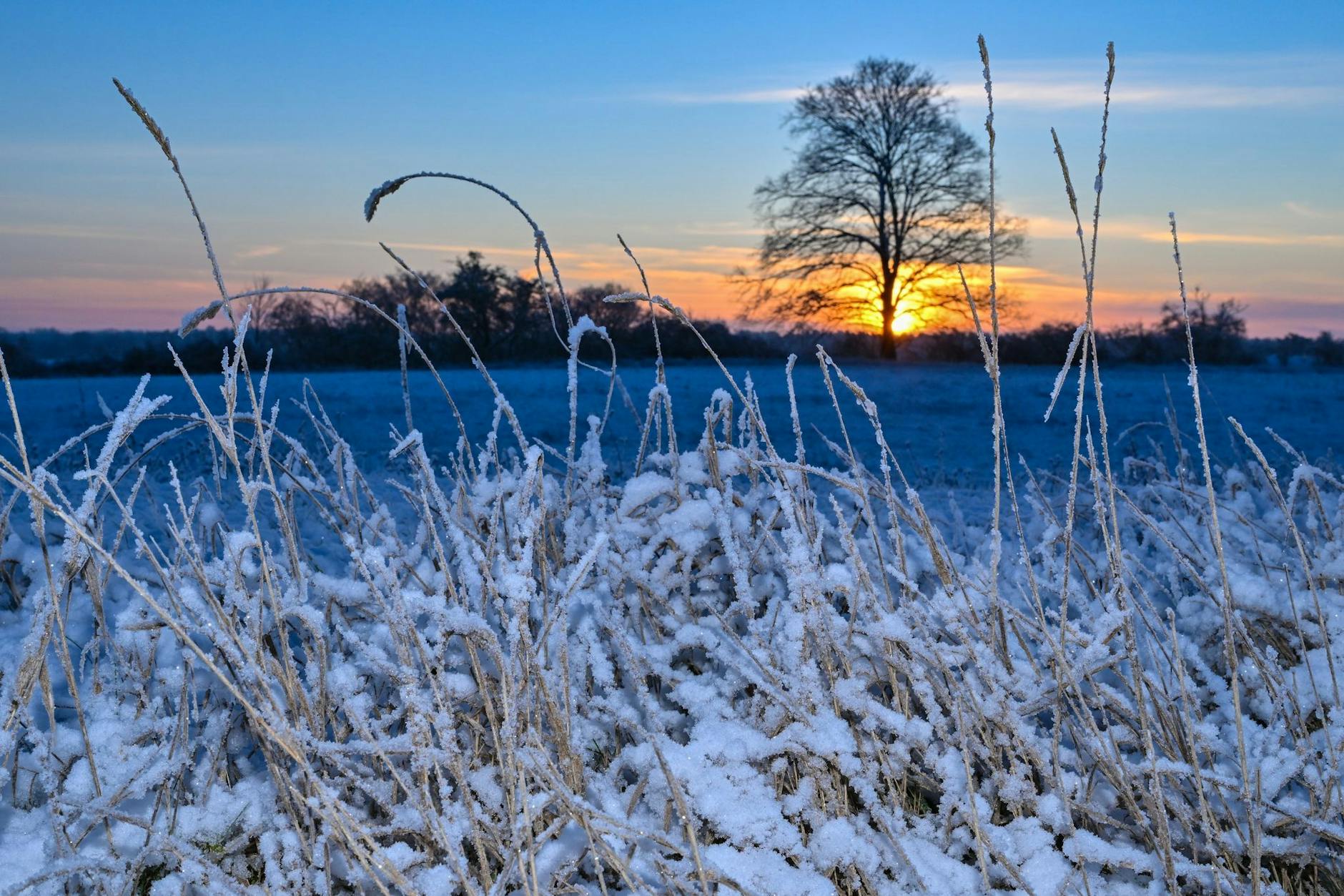 Malerischer Sonnenaufgang über der winterlich verschneiten Landschaft im Landkreis Märkisch-Oderland in Ostbrandenburg. Doch im Süden der Region gab es Winter-Chaos.