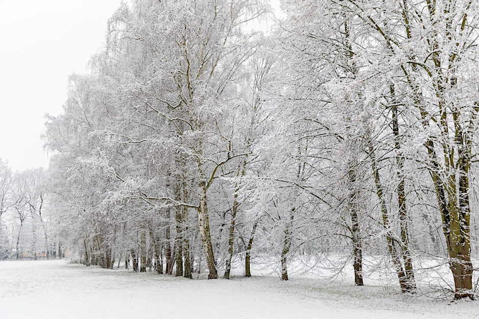 Der Wintereinbruch in Brandenburg sorgte für einige Stromausfälle.&nbsp;