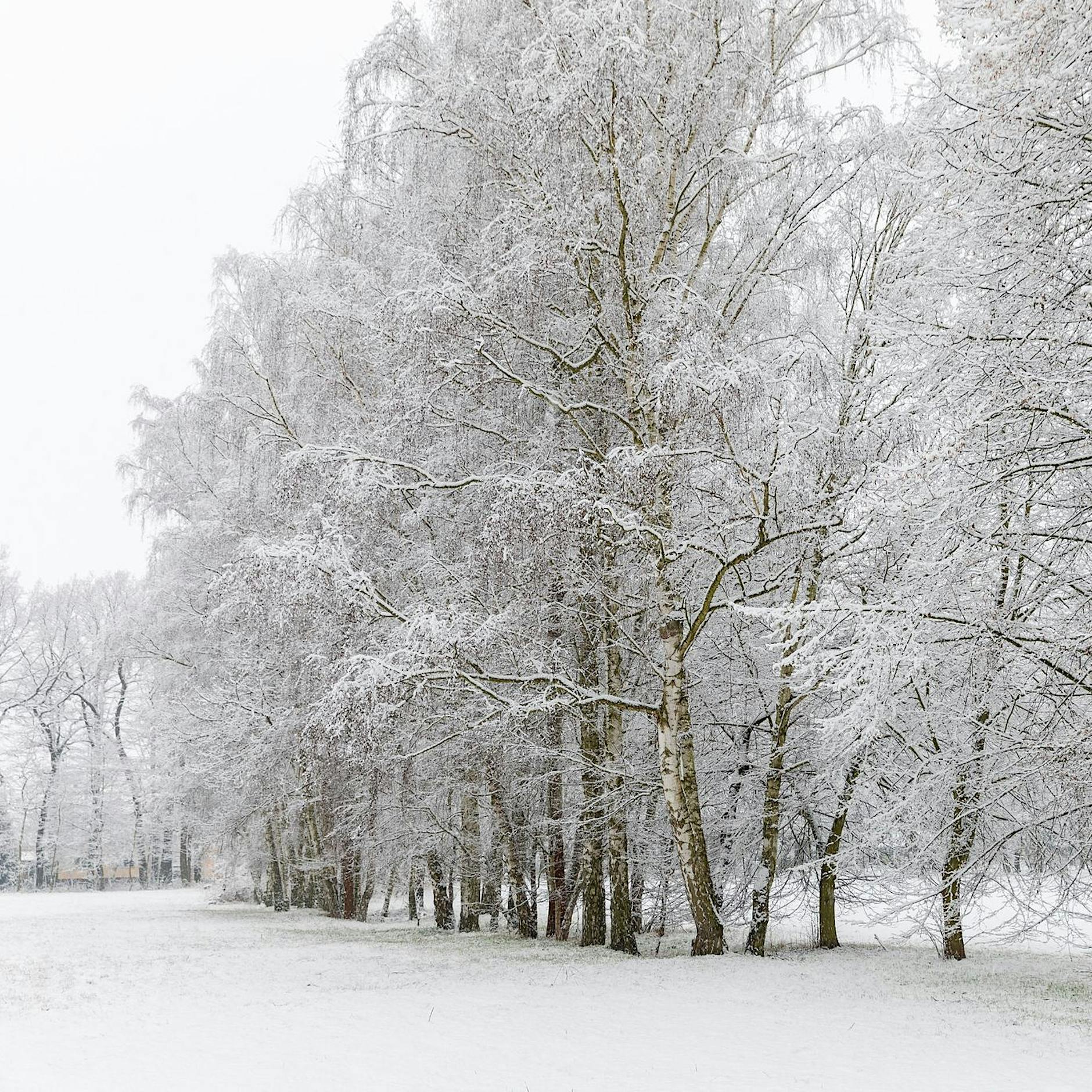 Wintereinbruch sorgt für Stromausfälle in Brandenburg