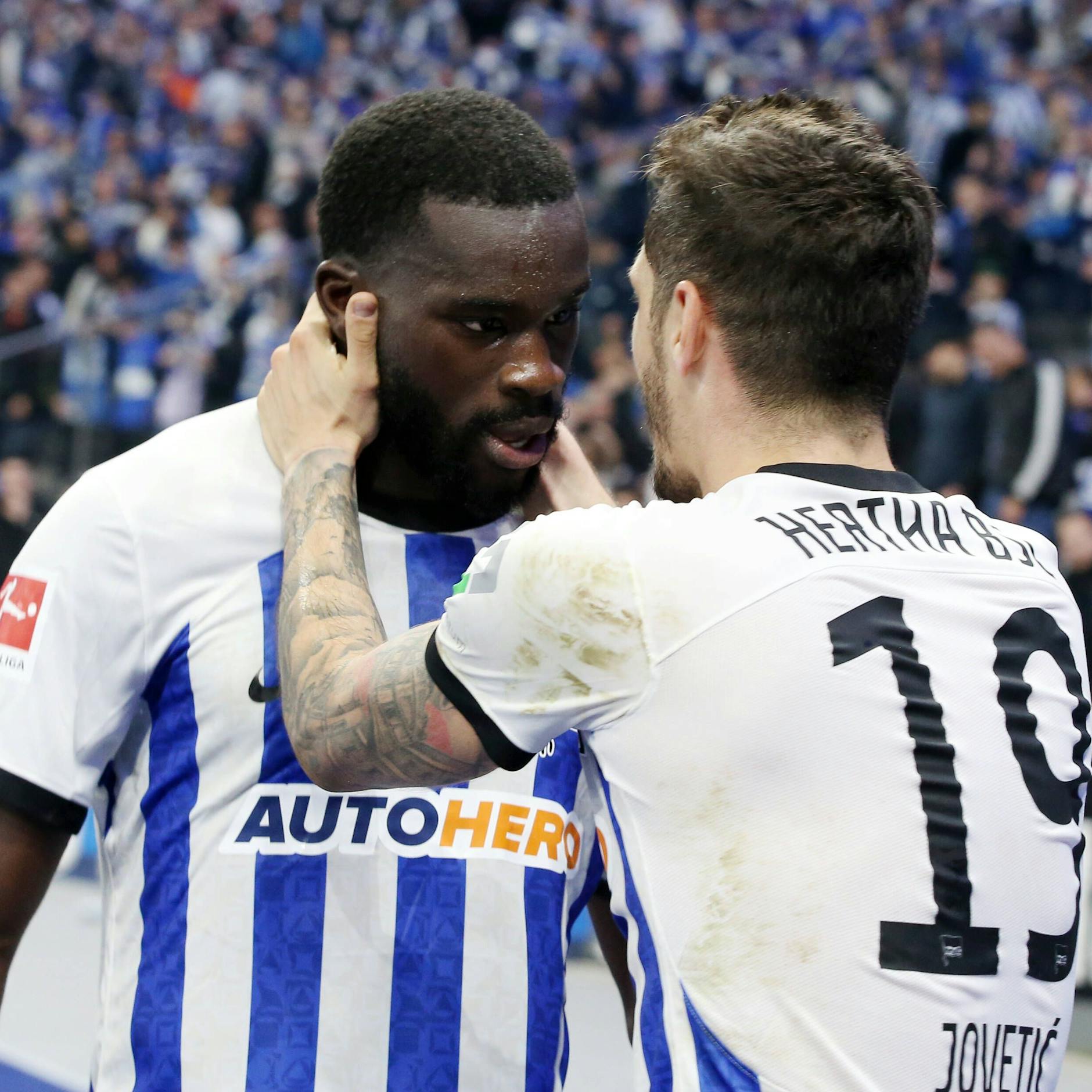 Sie harmonierten in der Hinrunde sehr gut im Hertha-Sturm: Willy Kanga und Stevan Jovetic.