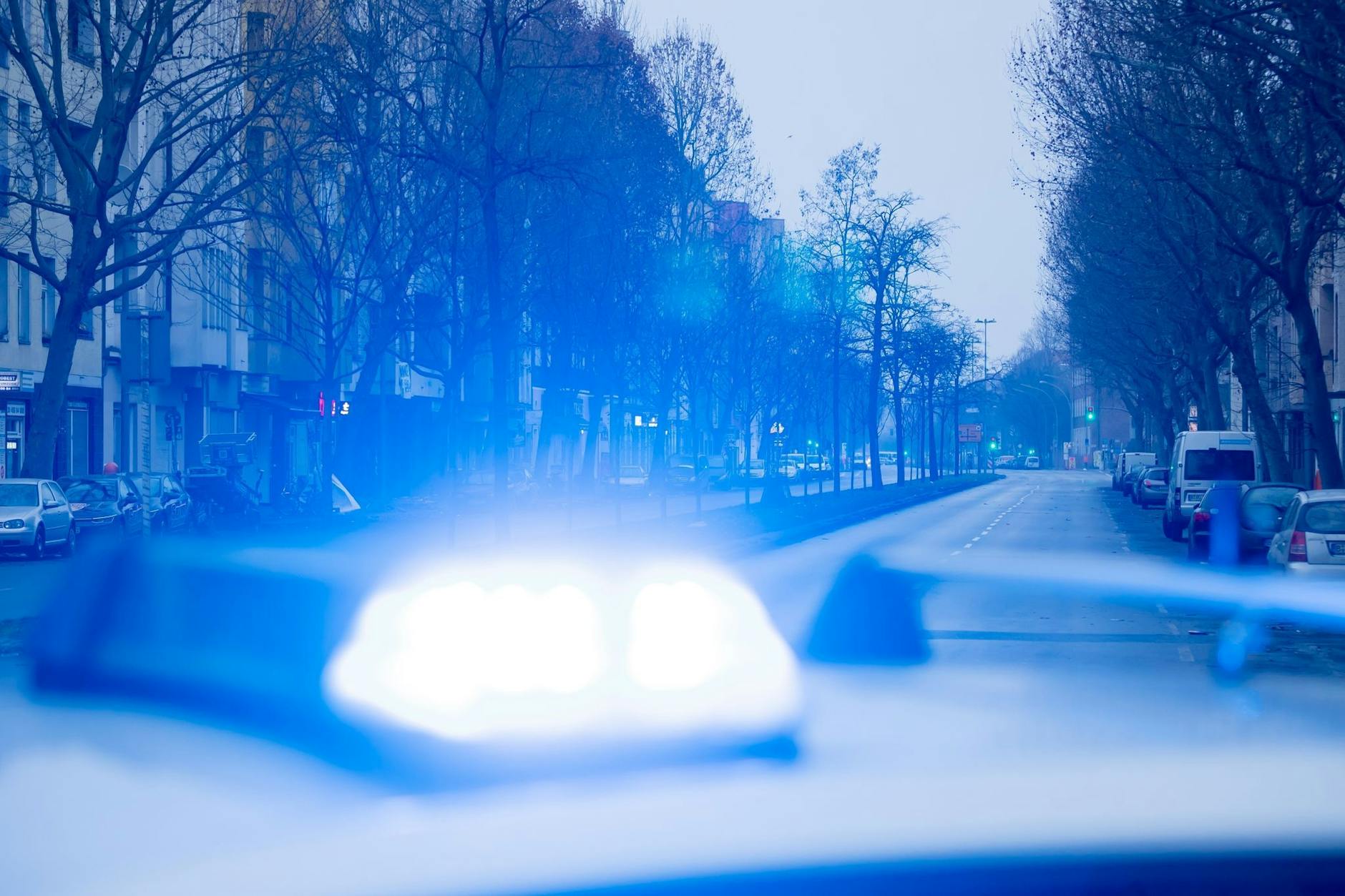 Ein Blaulicht leuchtet auf dem Dach eines Streifenwagens der Polizei. Ein Mann soll ein Wettbüro in Schöneberg überfallen haben. Die Polizei konnte nun den Tatverdächtigen festnehmen.