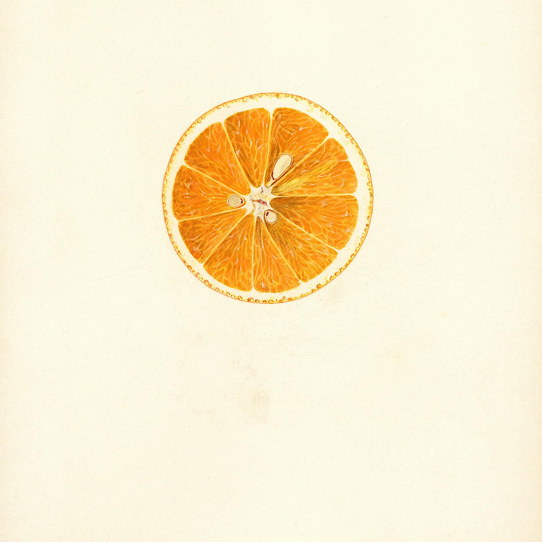 Rezept der Woche: Orangen – sexy süßes Superfood