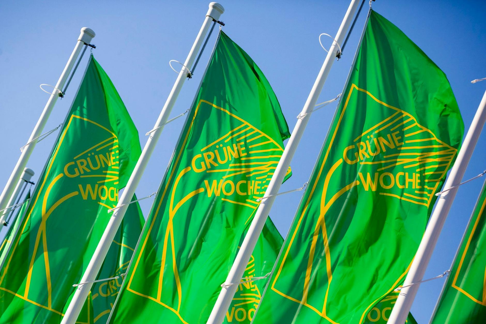 ARCHIV - Fahnen der Internationalen Grünen Woche wehen am Messeeingang in Berlin. Nach zwei Jahren Zwangspause öffnet die Grüne Woche am Freitag wieder für Besucher.
