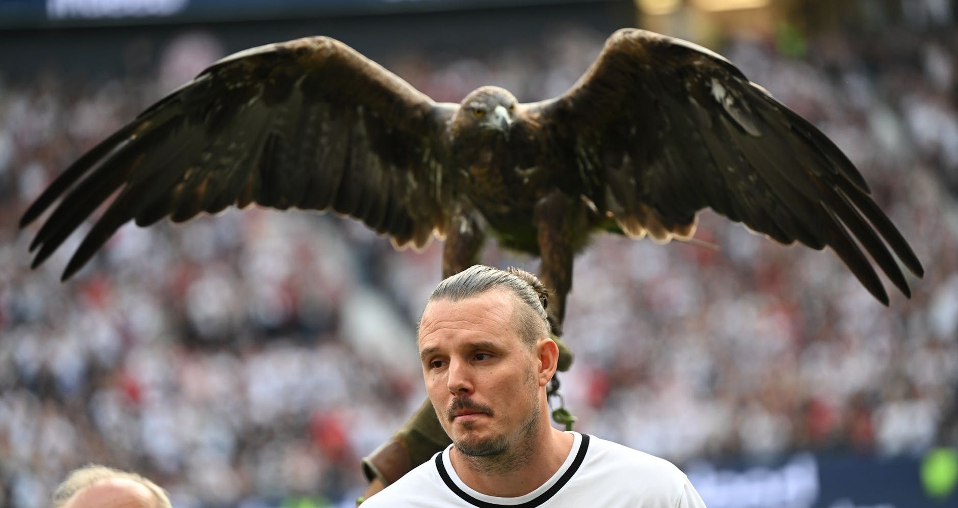 ARCHIV - Eintracht-Maskottchen Steinadler «Attila» wird seit 2006 in die Frankfurter Arena gebracht.