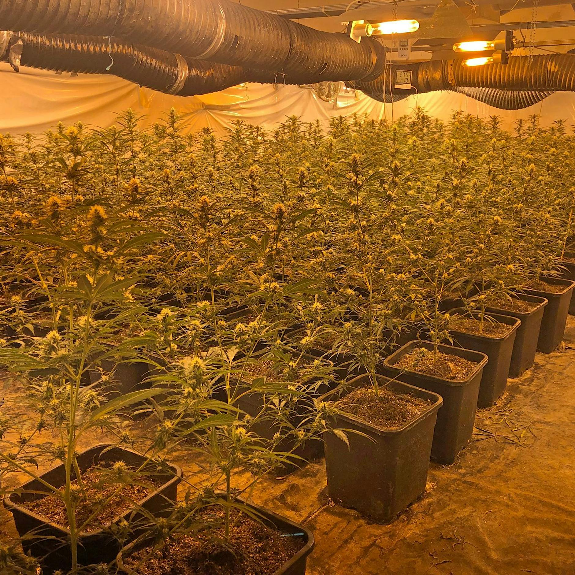 Der kriminelle Wochenrückblick: Wie schafft man 70 km/h auf dem Fahrrad?