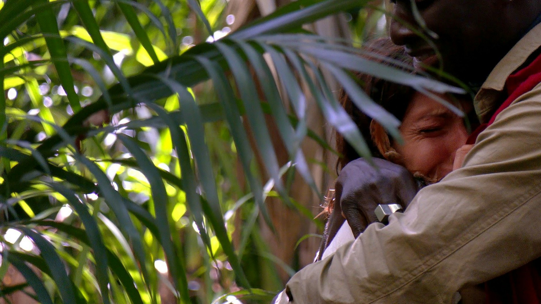 Unter Tränen berichtet Jana Pallaske Mitcamper Papis Loveday, dass sie vor Jahren beinah an Magersucht gestorben wäre.