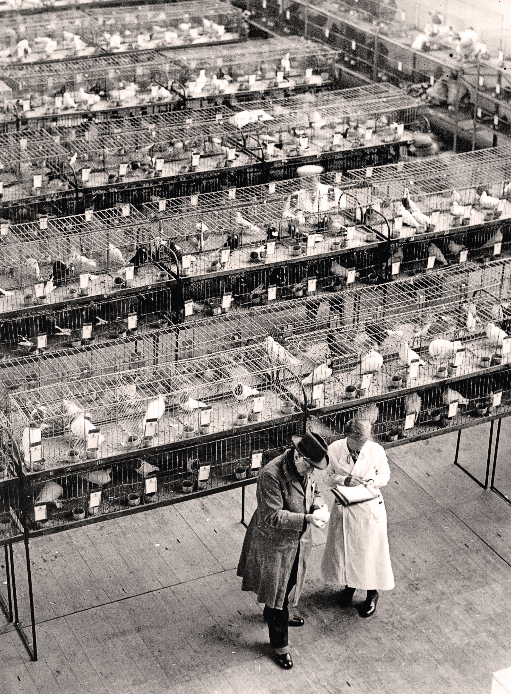 Image - Wer hat‘s erfunden? Ein Landwirt natürlich