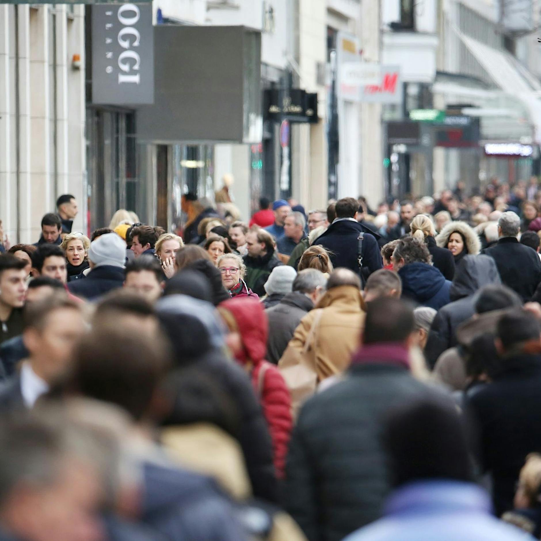 Zuwanderung führt zu Bevölkerungshöchststand in Deutschland