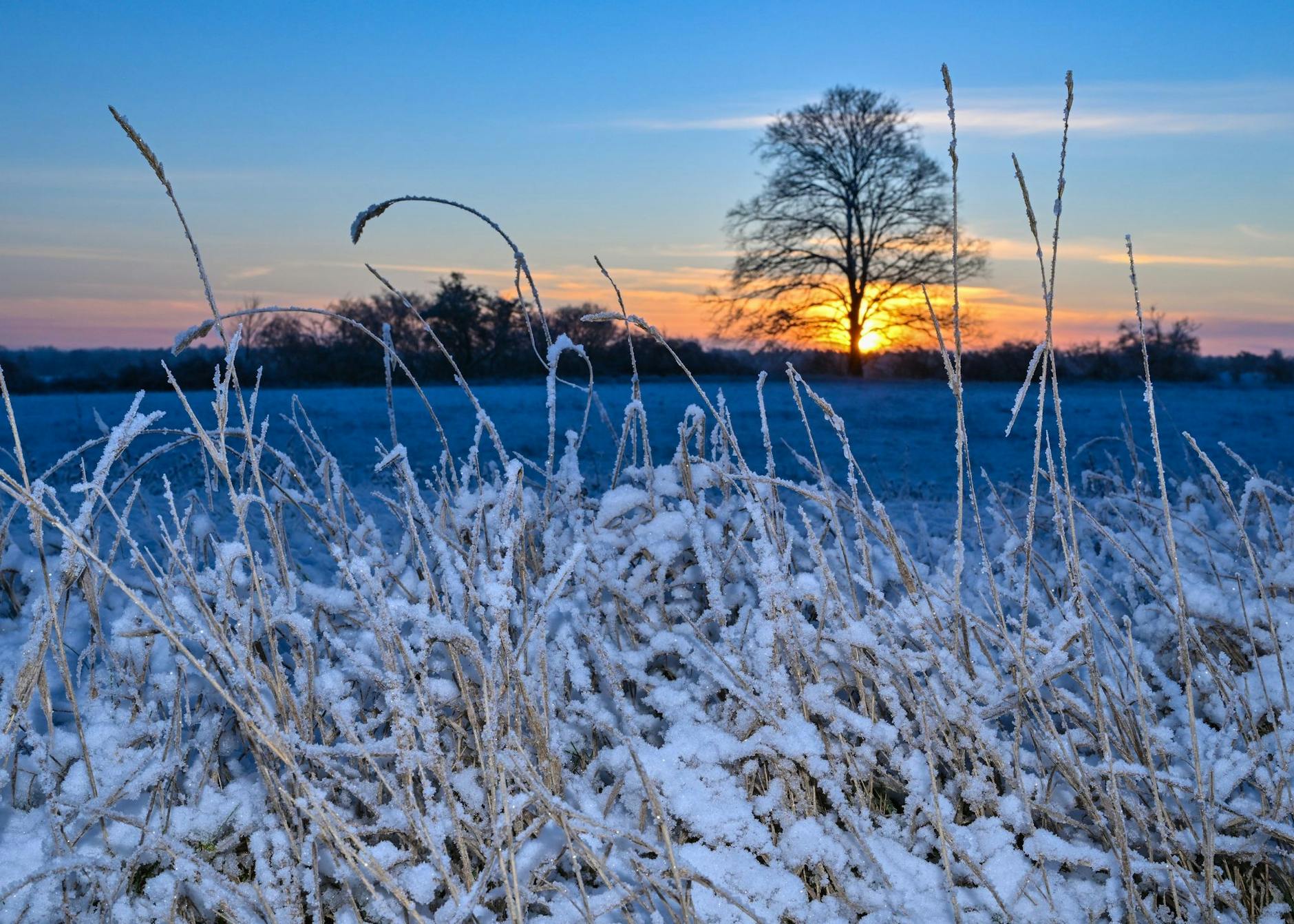 Der Sonnenaufgang über der winterlich verschneiten Landschaft im Landkreis Märkisch-Oderland in Ostbrandenburg.