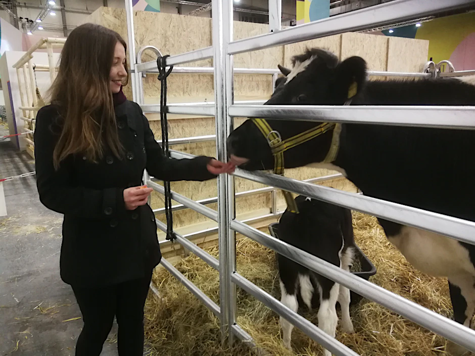 Josefin Schröter mit der Kuh „Walnuss“ und dem kleinen Kalb „Camus“