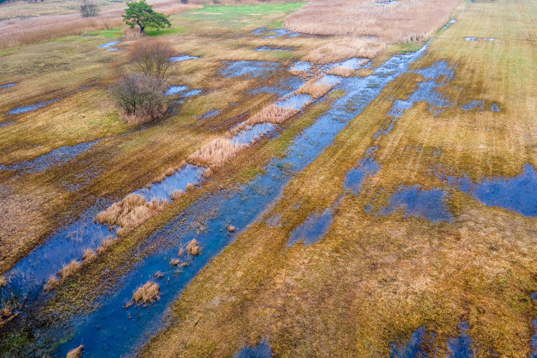 Wiesen, Schlenken und Schilfgebiete bilden das rund 36 Hektar große wiedervernässte Hangquellmoor Binsenberg. 