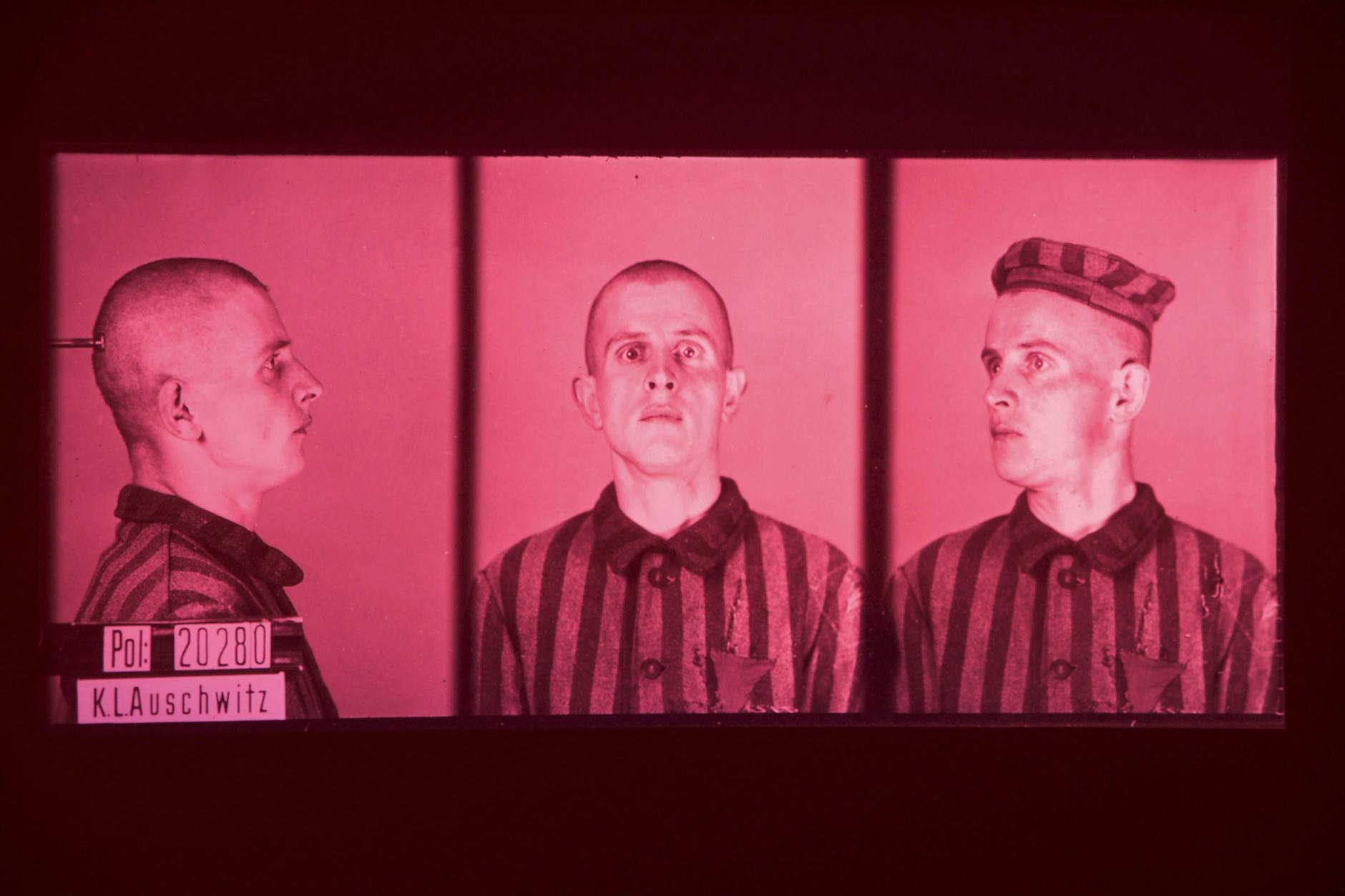 Ein KZ-Gefangener mit dem rosa Winkel an seiner Kleidung. Der rosa Winkel war das Zeichen für die homosexuellen Gefangenen.