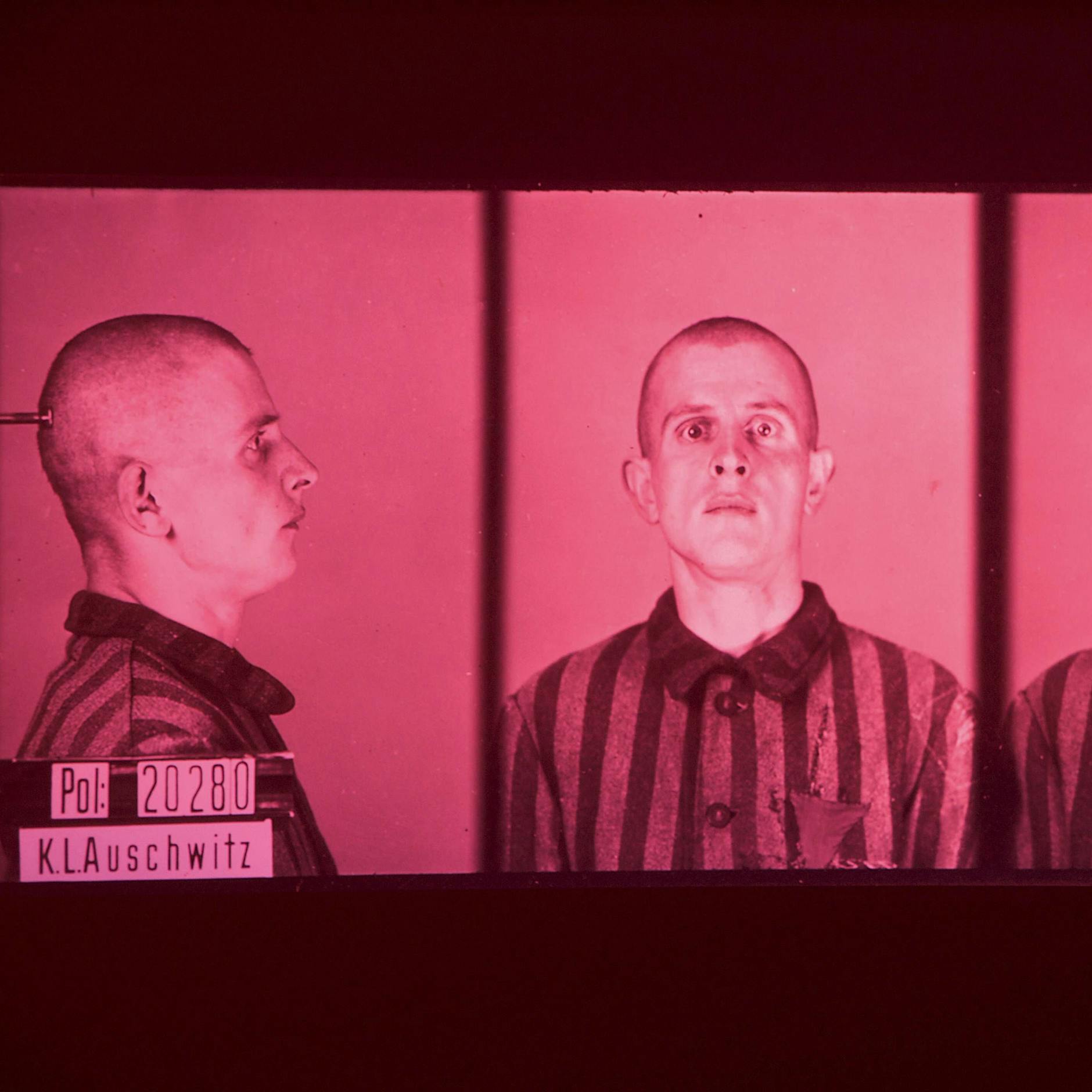 Holocaust-Gedenktag: Die Verfolgung Homosexueller im Nationalsozialismus