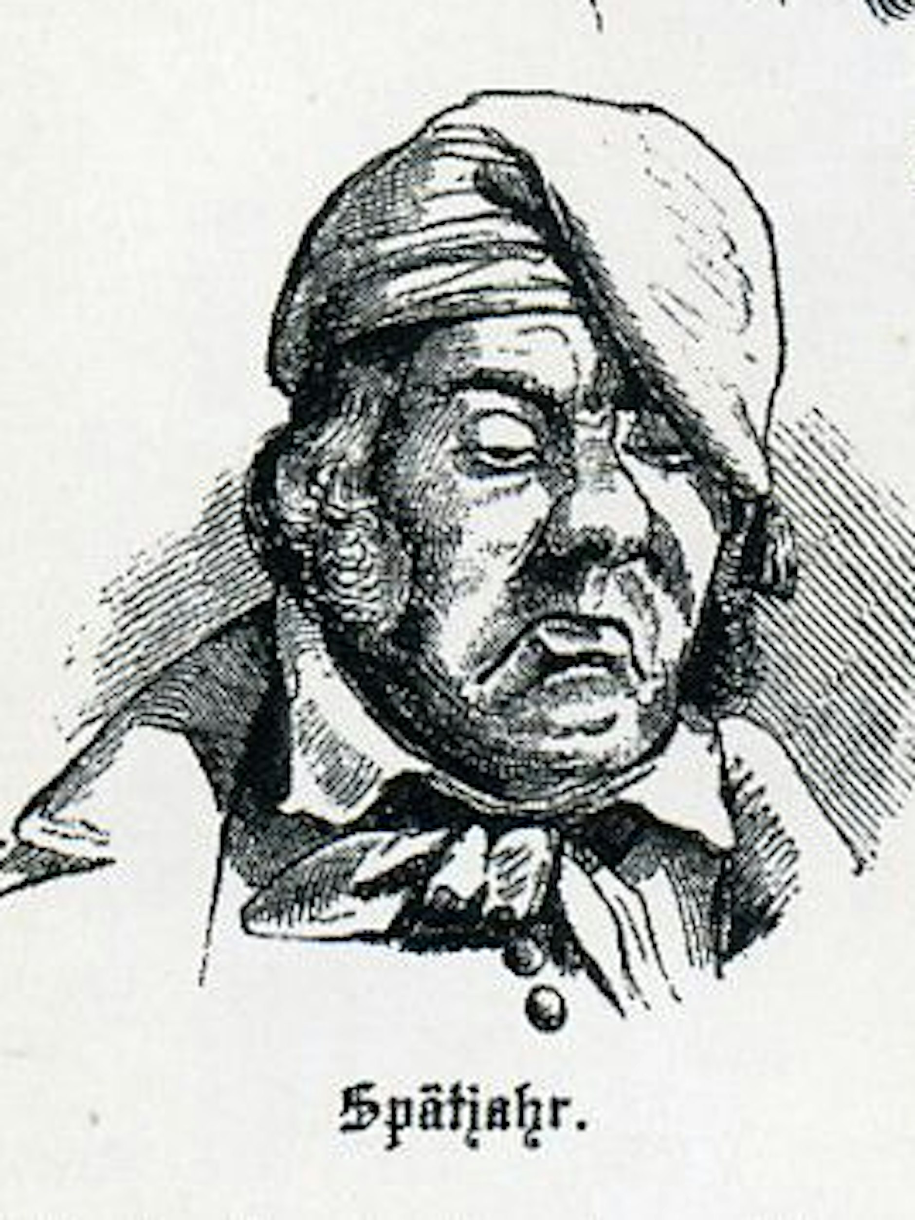 Der Deutsche, wie er im Buche steht: Karikatur des Michel, 1848.