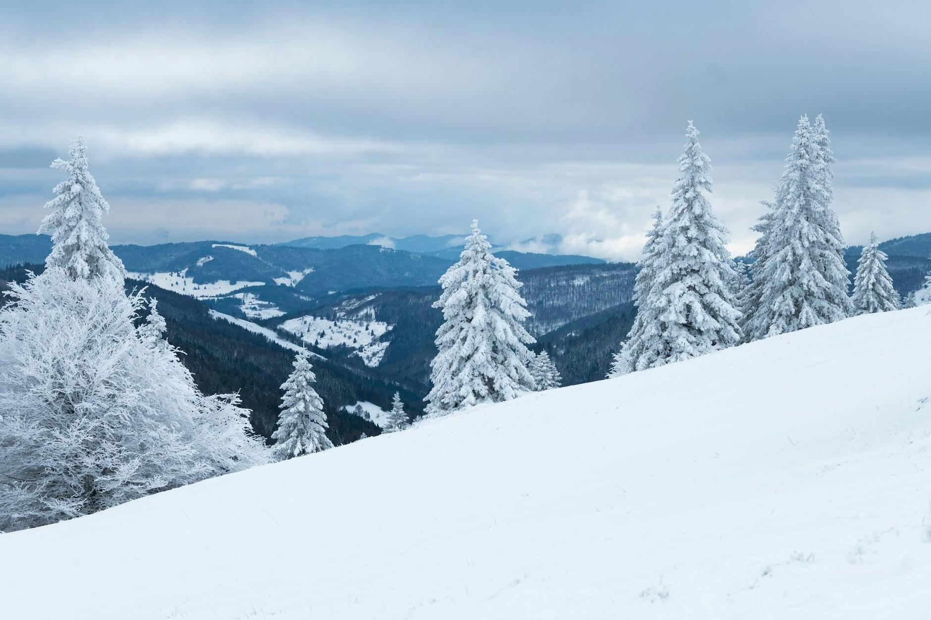 Der Winter hat in Deutschland Einzug gehalten. Das Wetter wird bitterkalt.
