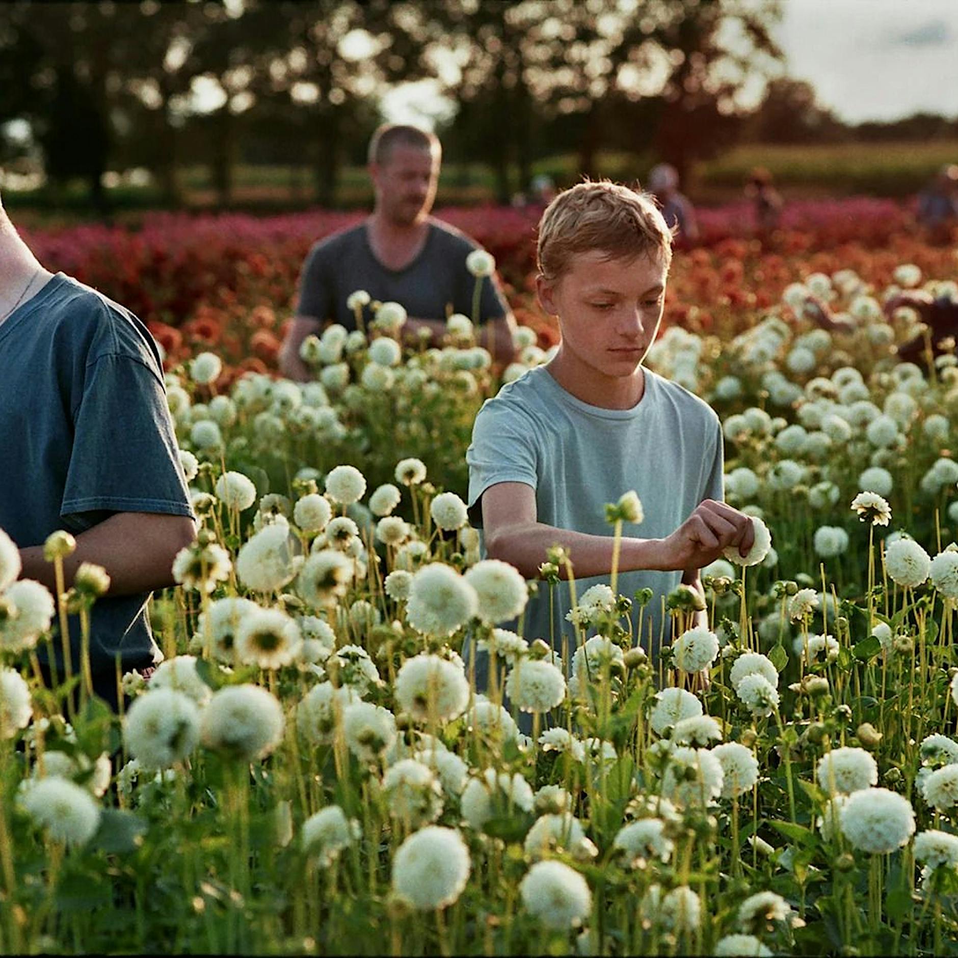 „Close“: Ein oscarnominierter Tritt in die Magengrube