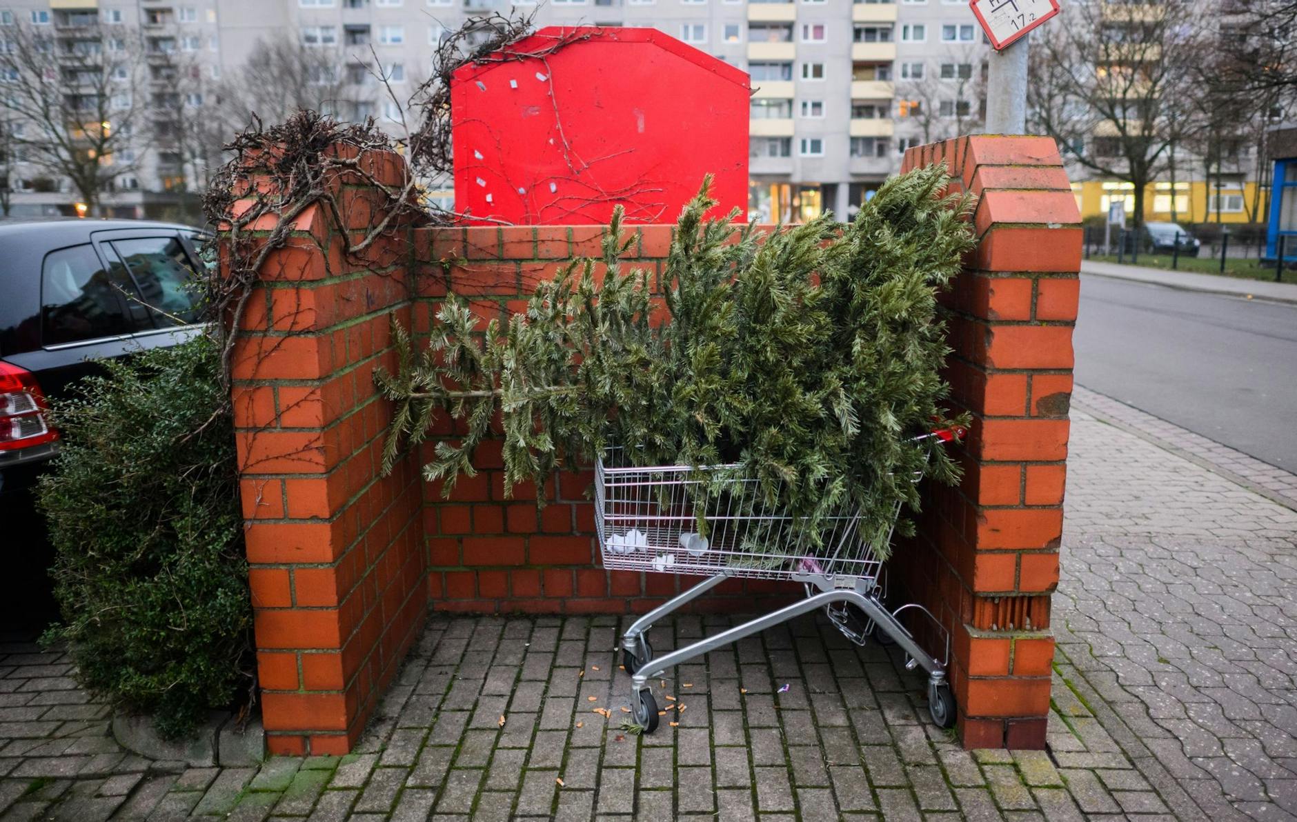 Ein ausgedienter Weihnachtsbaum liegt in Laatzen "abfuhrbereit" auf einem Einkaufswagen.