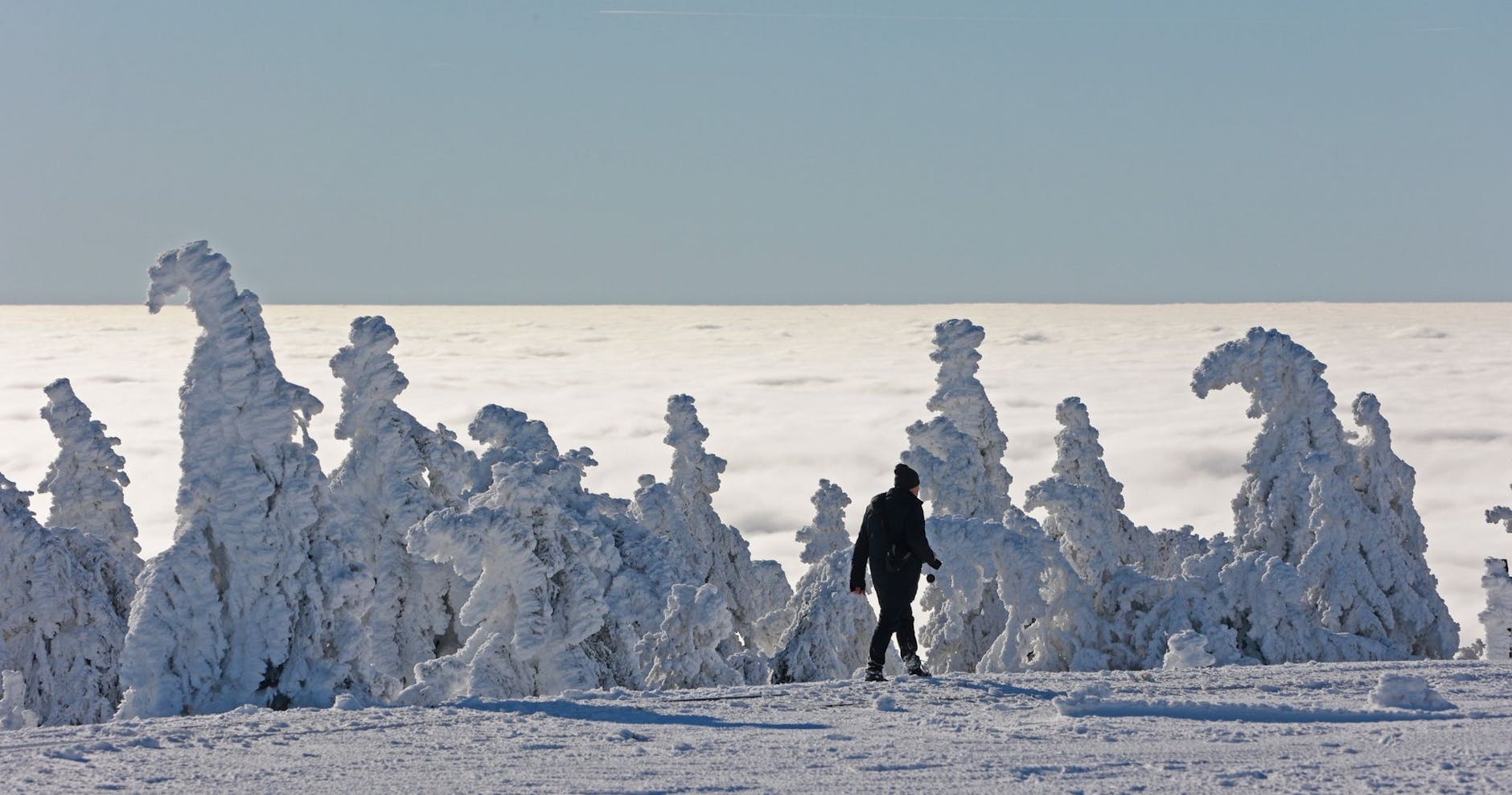 Eine eiskalte Nacht hat die Bäume auf dem Brocken zu Figuren erstarren lassen. Die sogenannte Inversionswetterlage sorgte außerdem dafür, dass der Gipfel über den Wolken gelegen hat.