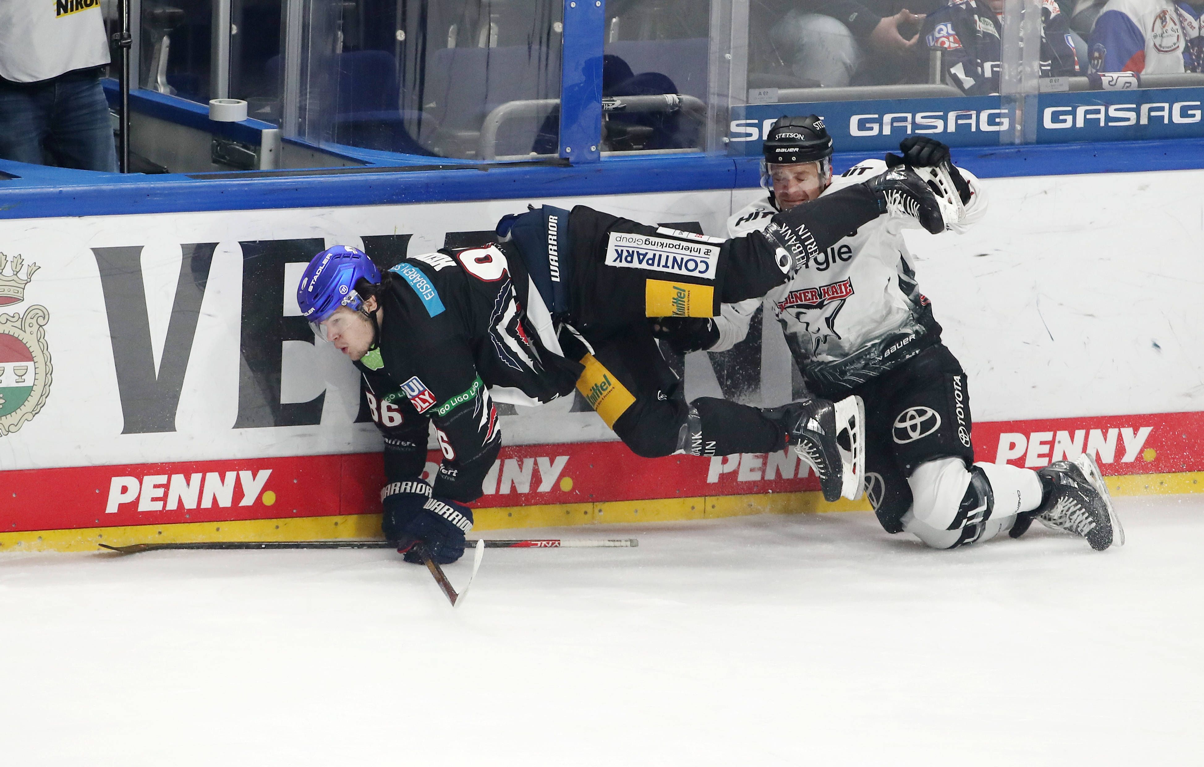 Image - Das kann heftig werden! Die Eisbären laden zum Duell der Strafbankkönige