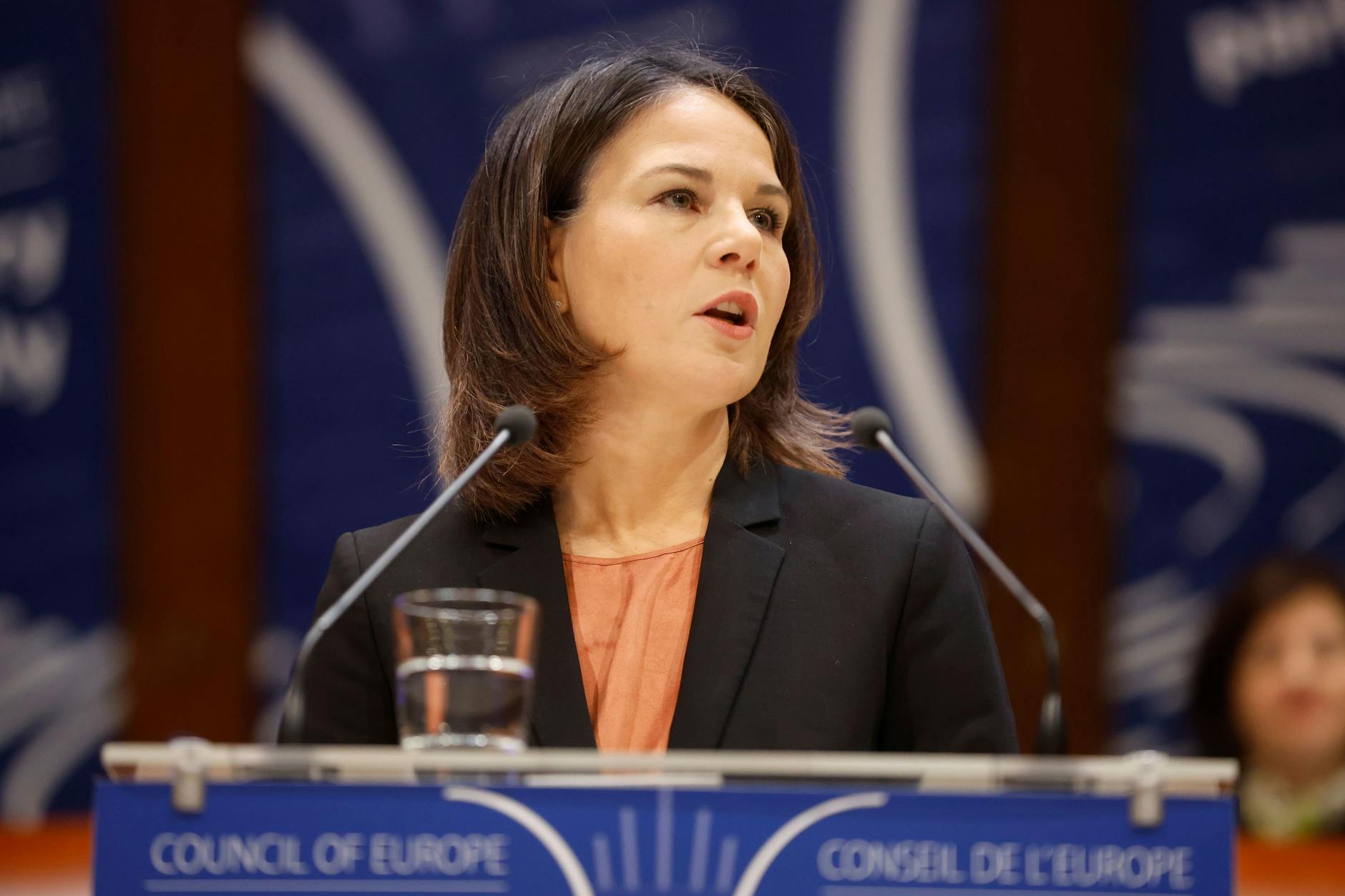 Außenministerin Annalena Baerbock spricht am 24. Januar 2023 vor der Parlamentarischen Versammlung des Europarats in Straßburg.