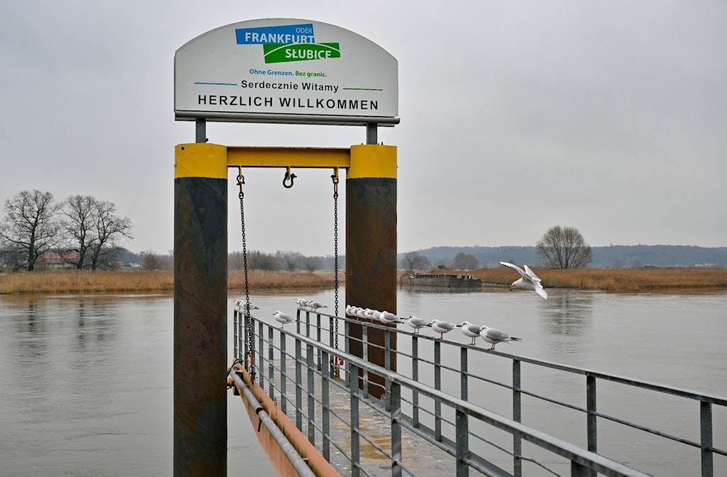 Untersuchungen nach Verunreinigung der Oder: Sorge um Fluss