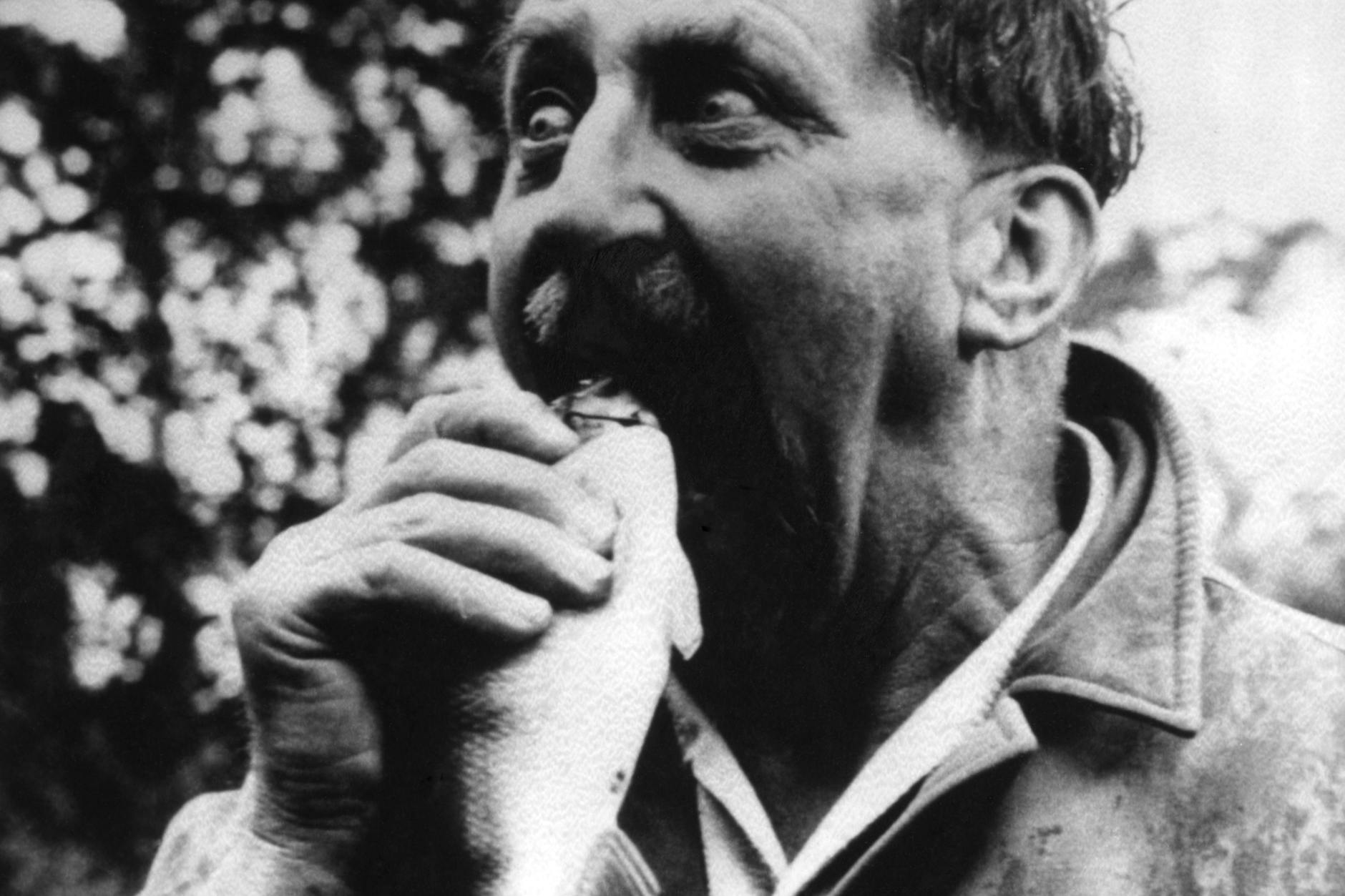 Einen ganzen Lachs oder Kabeljau zubereiten, dass trauen sich viele Hobbyköche nicht: Unser Koch Felix Hanika lebt auf Mallorca und weiß, das ist gar nicht so schwer und kann wunderbar schmecken.