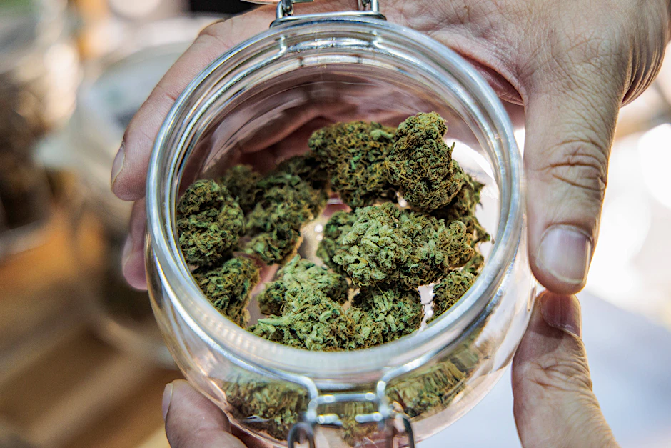 Mit dem Cannabis-Versand soll die Familie des 31-Jährigen Millionen verdient haben.