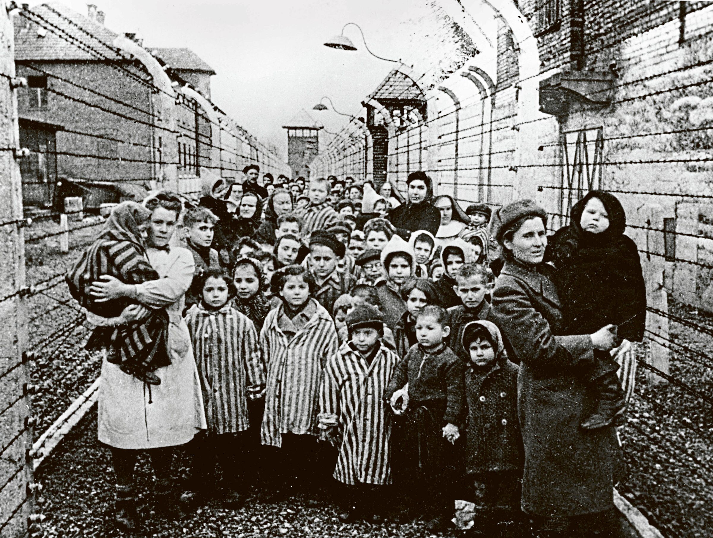 Image - 78 Jahre nach der Befreiung von Auschwitz: DAS dürfen wir NIE vergessen!