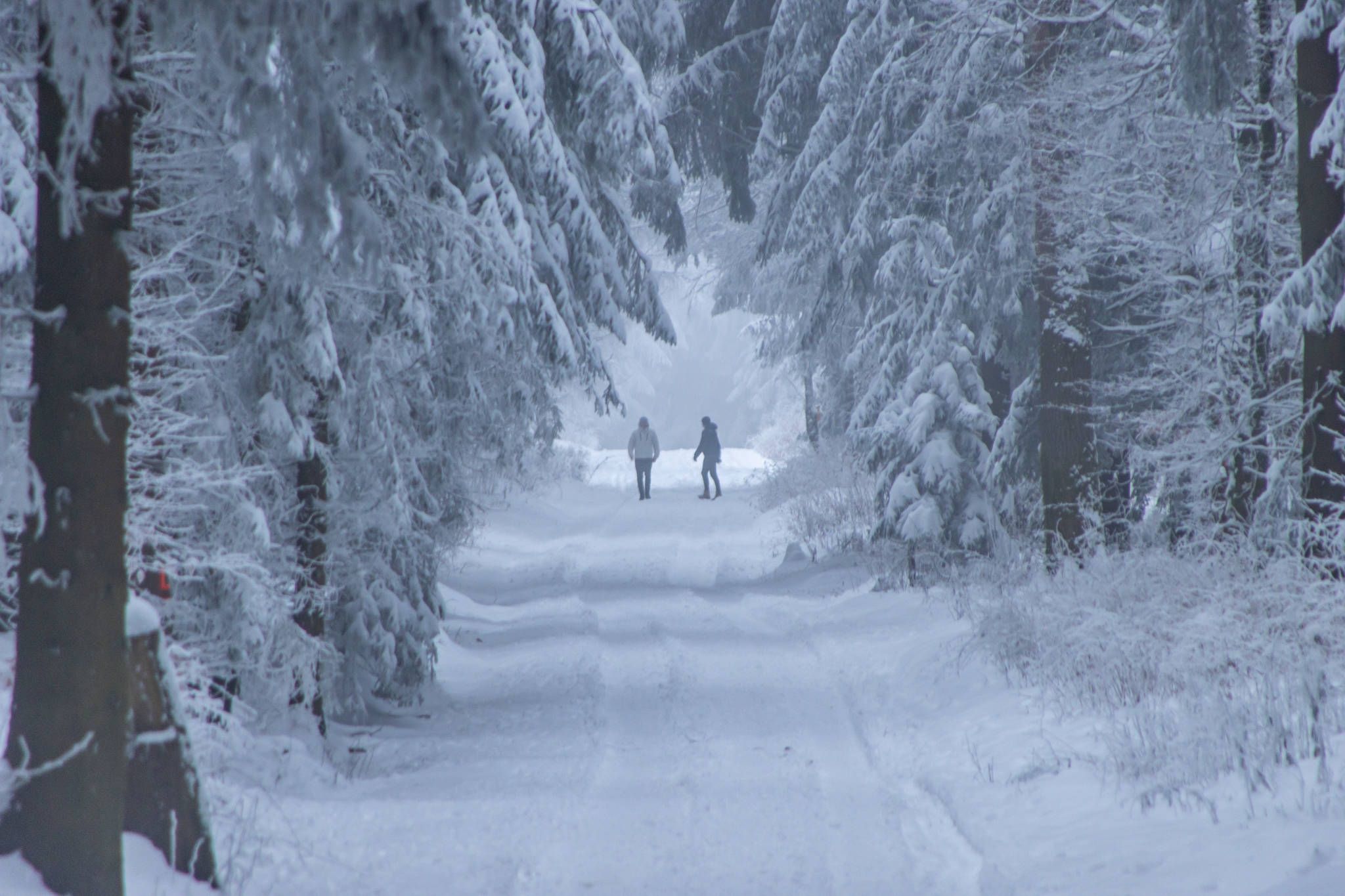 Achtung, Schneesturm! Wetterexperten sicher: 40 Zentimeter Neuschnee – versinken wir im weißen Pulver?