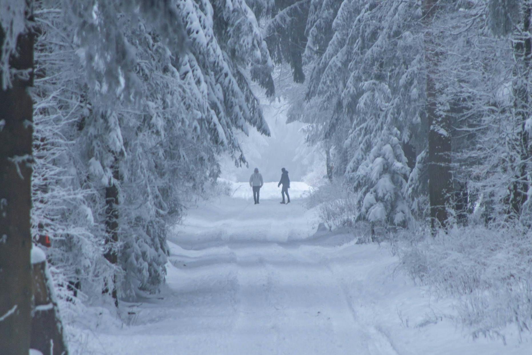 Versinken wir nächste Woche in Schneemassen? Damit rechnen zumindest die Wetterexperten.